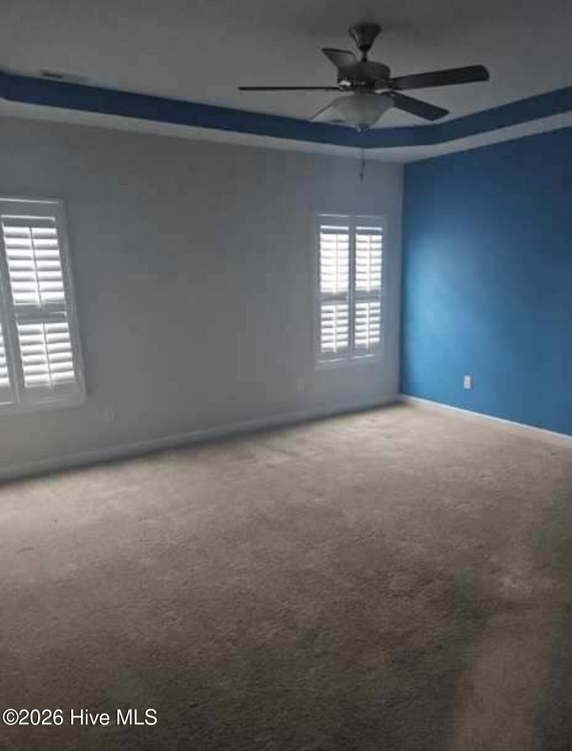 100563283 | Photo 14