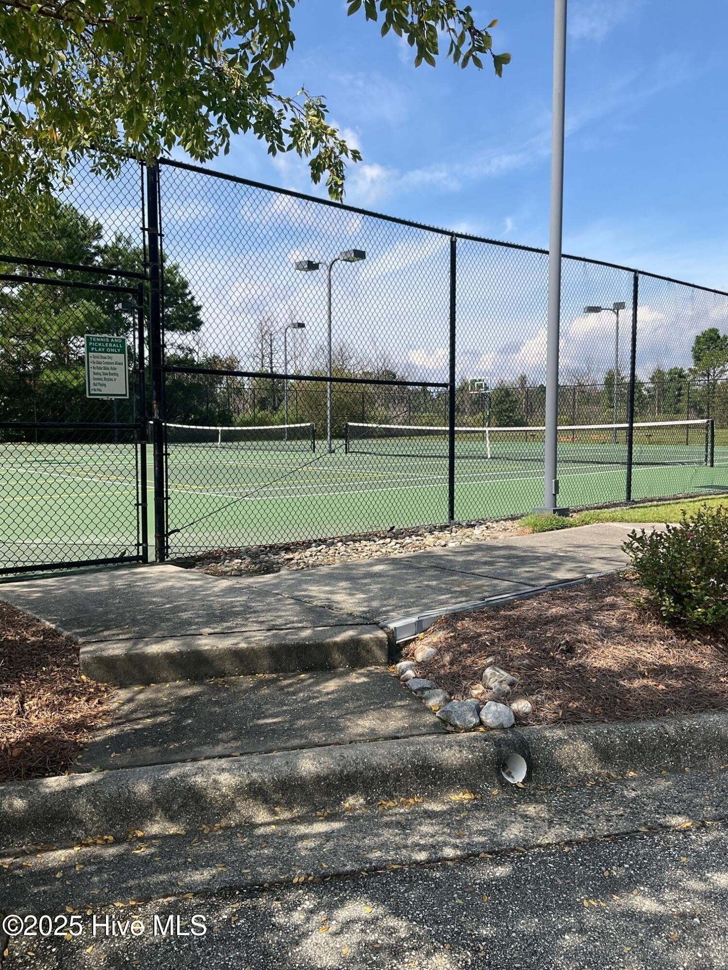 100529934 | Photo 45