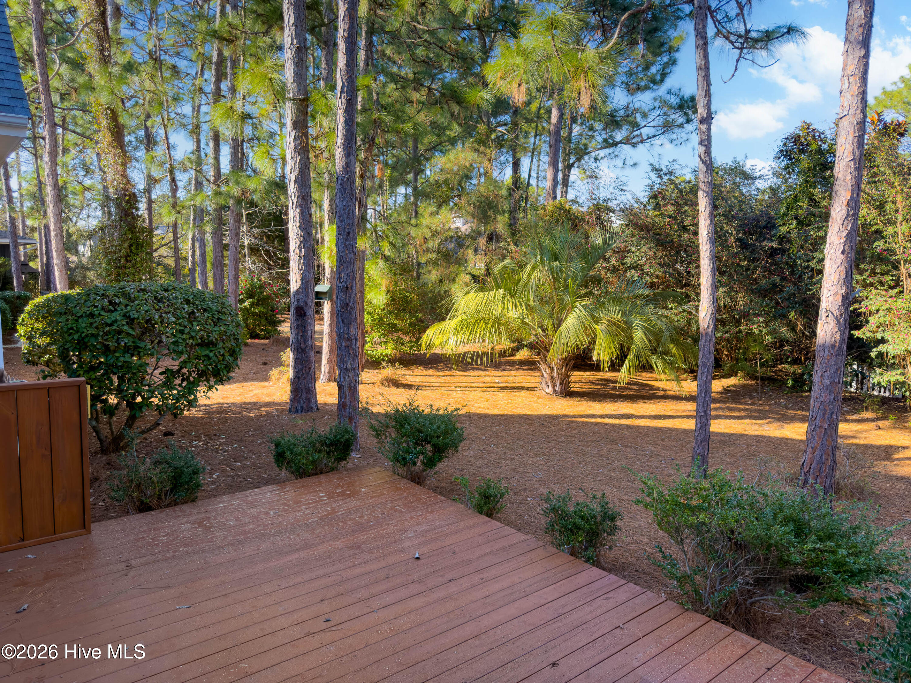 100558989 | Photo 38