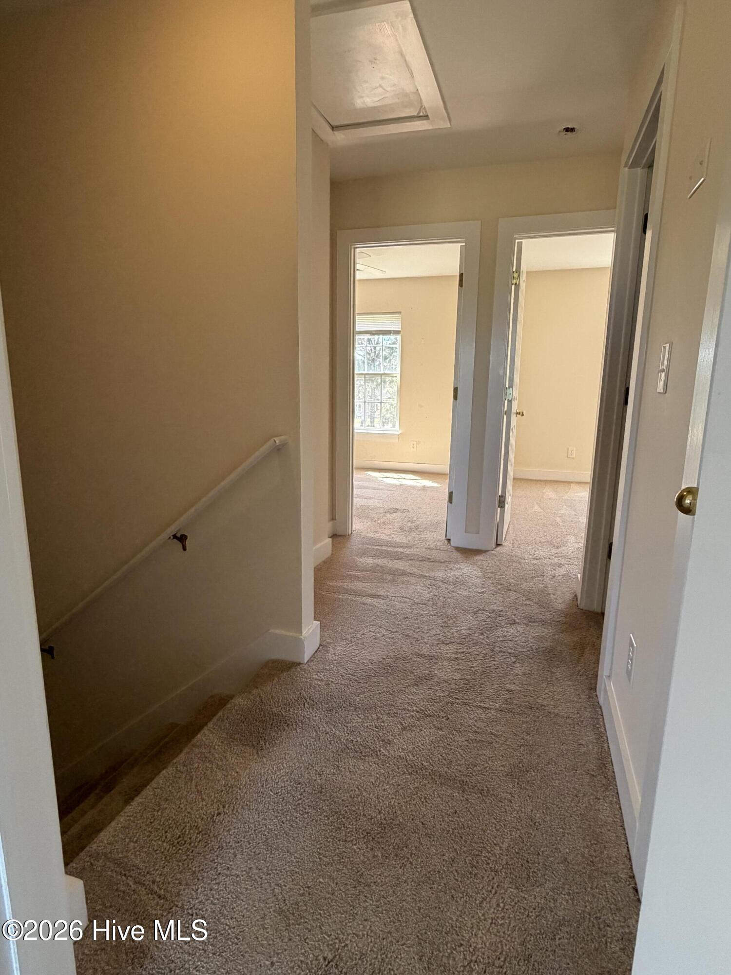 100566043 | Photo 18