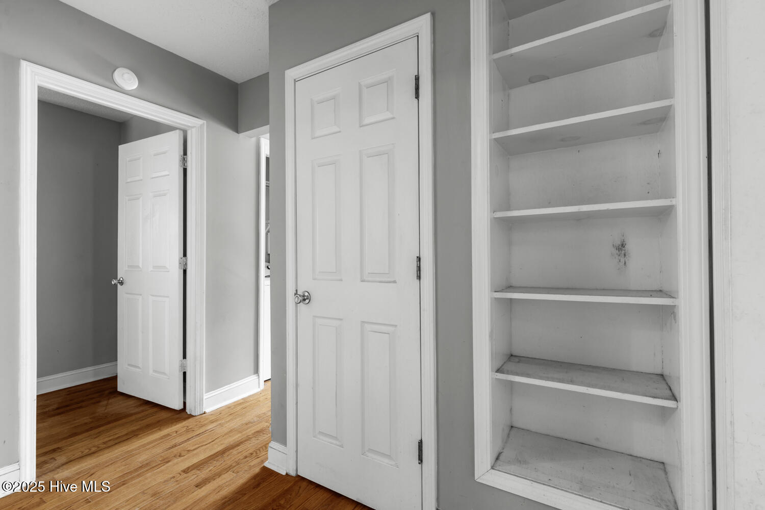 100533729 | Photo 11