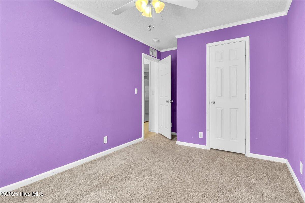 100543135 | Photo 26