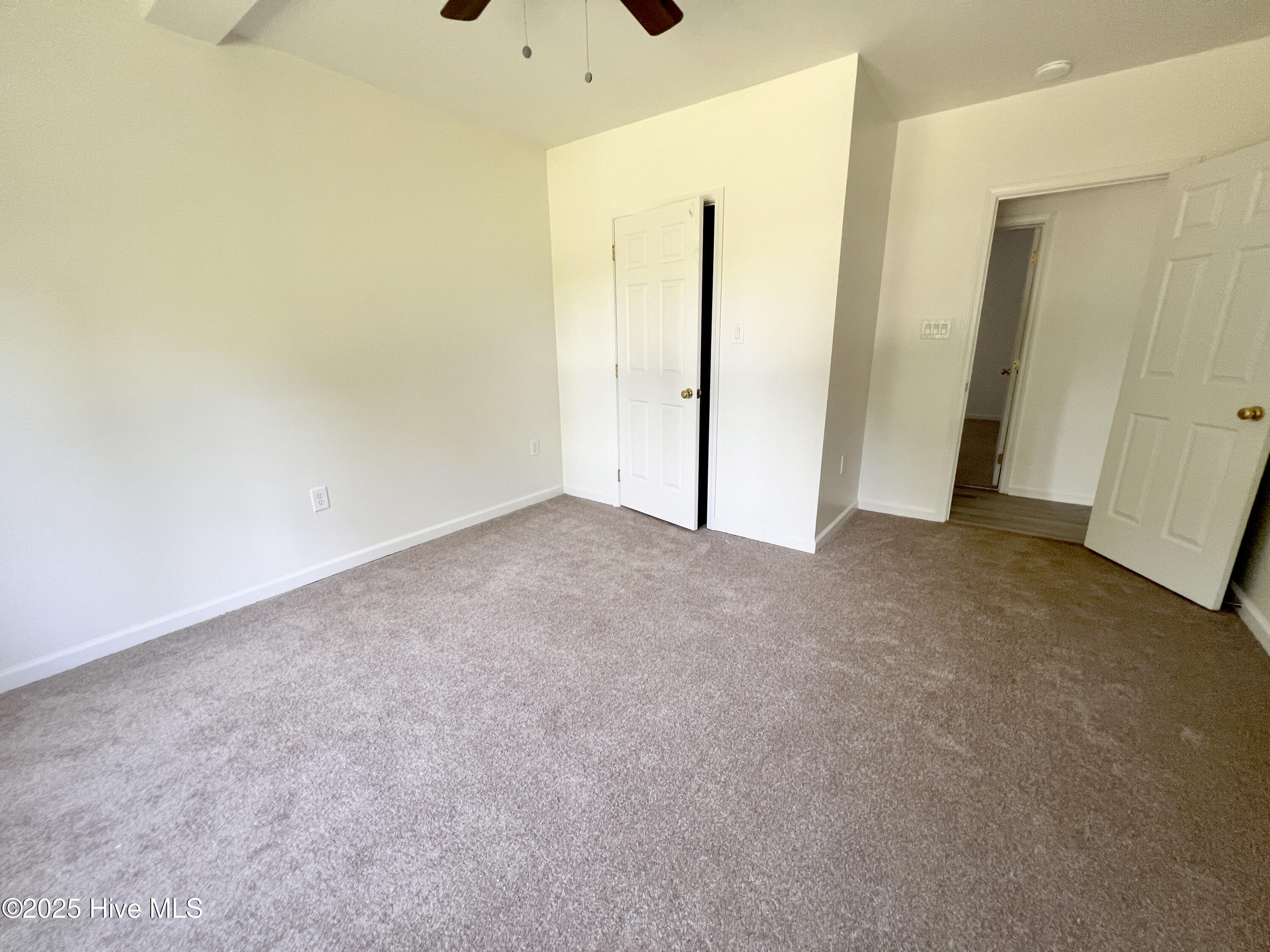 100535017 | Photo 17