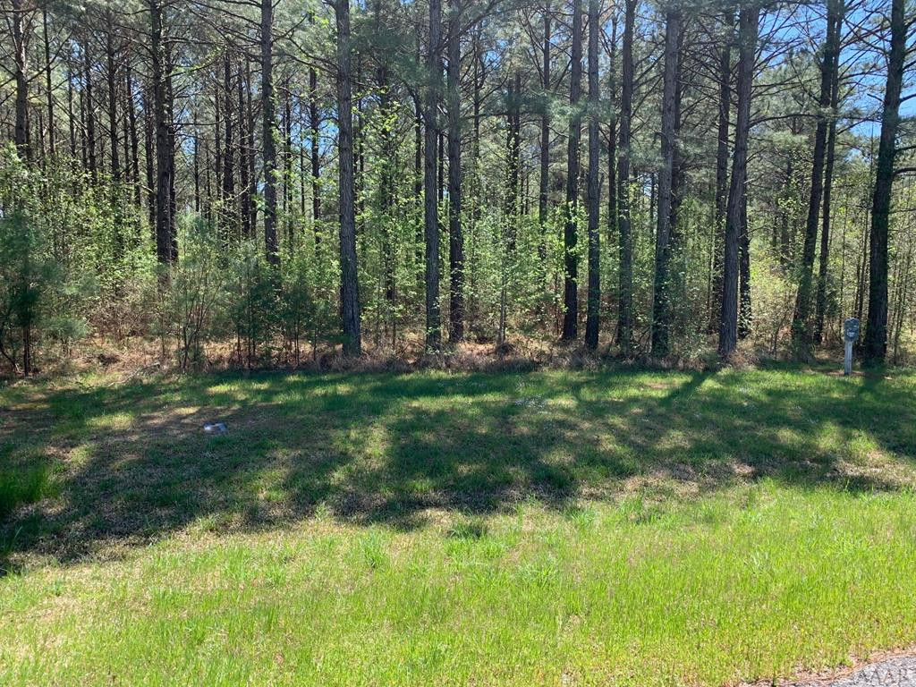 412 Plumtree Circle, Edenton, NC 27932 Listing Photo  5