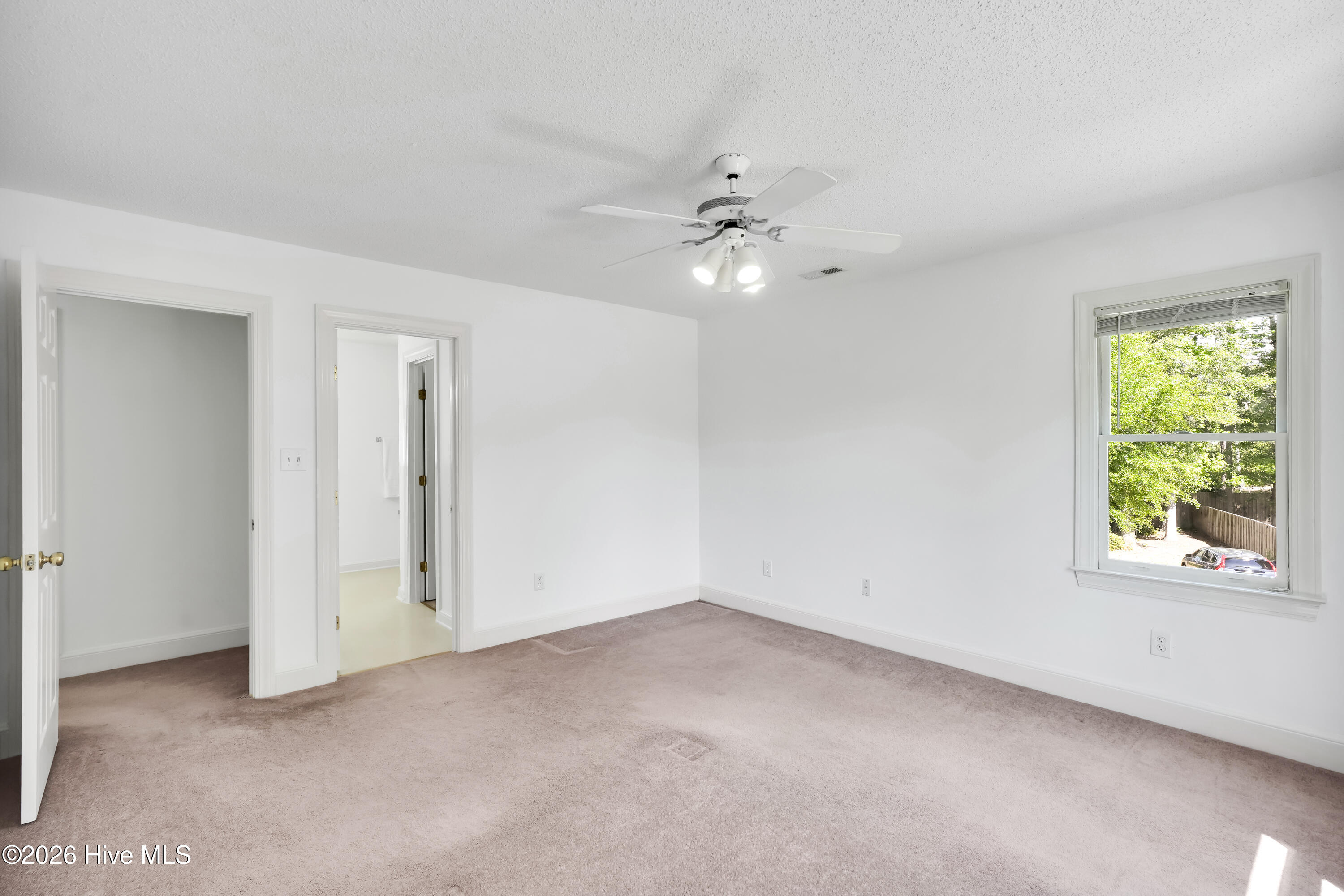 100570472 | Photo 24