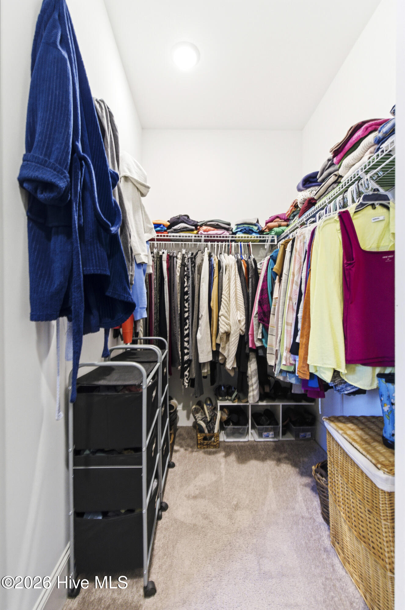 100563629 | Photo 35