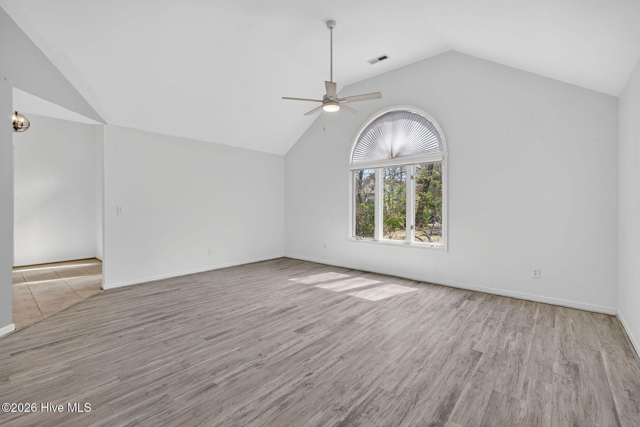 100556345 | Photo 19