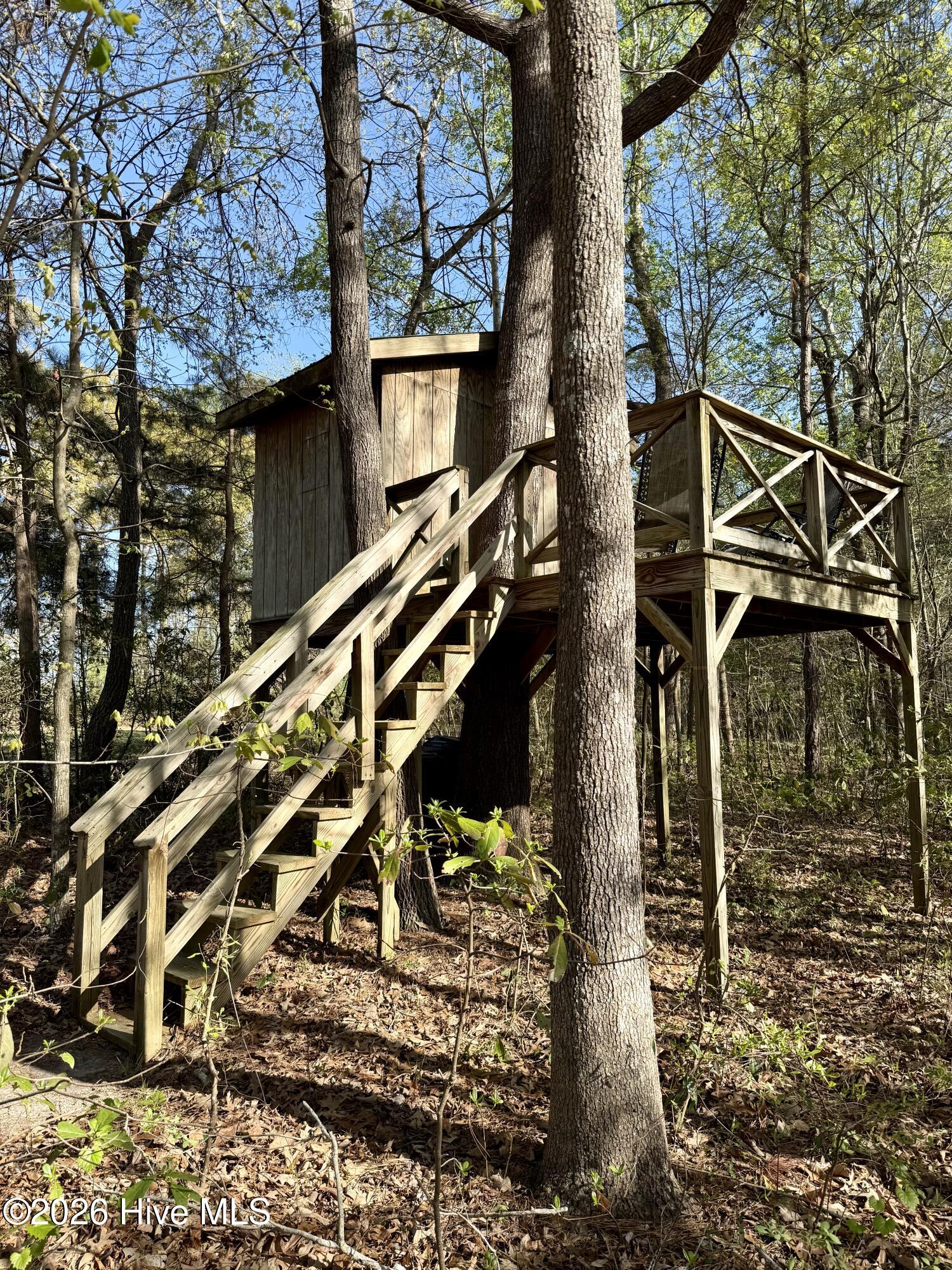 Kids Treehouse