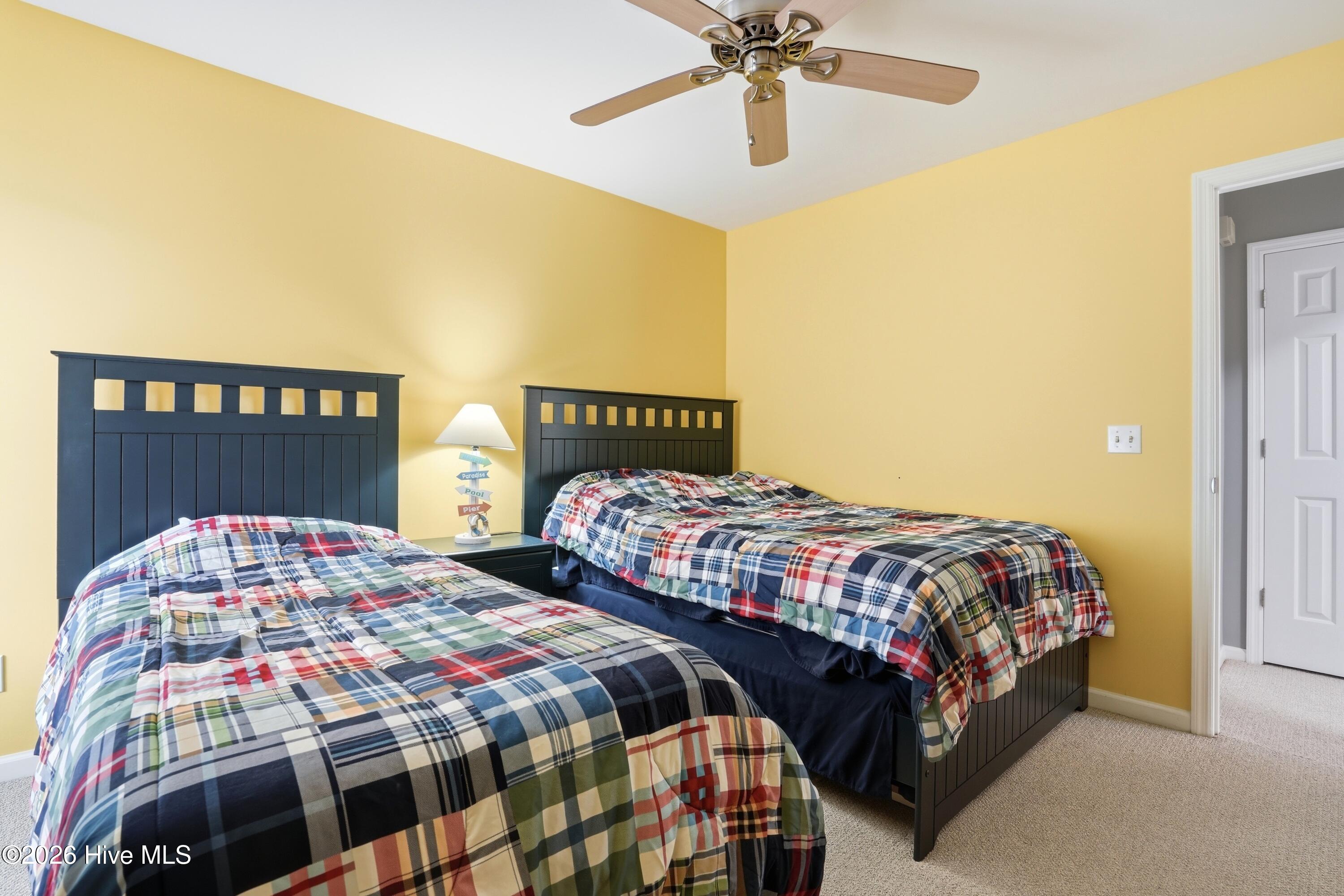 100556629 | Photo 37