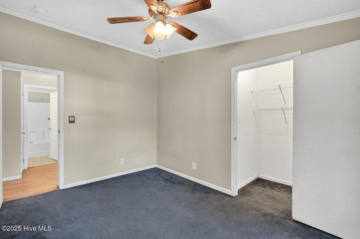 100539817 | Photo 16