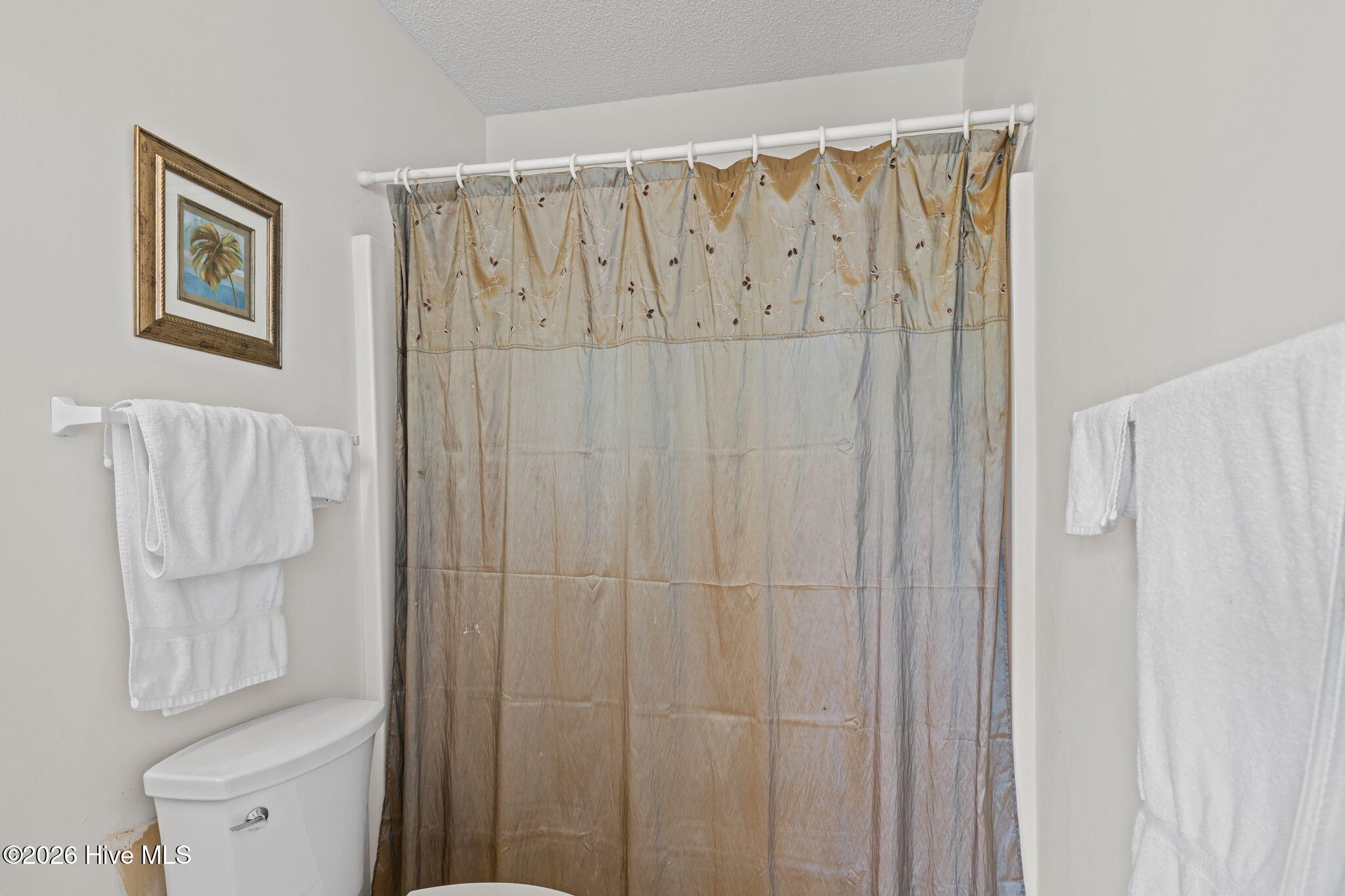 100557807 | Photo 19