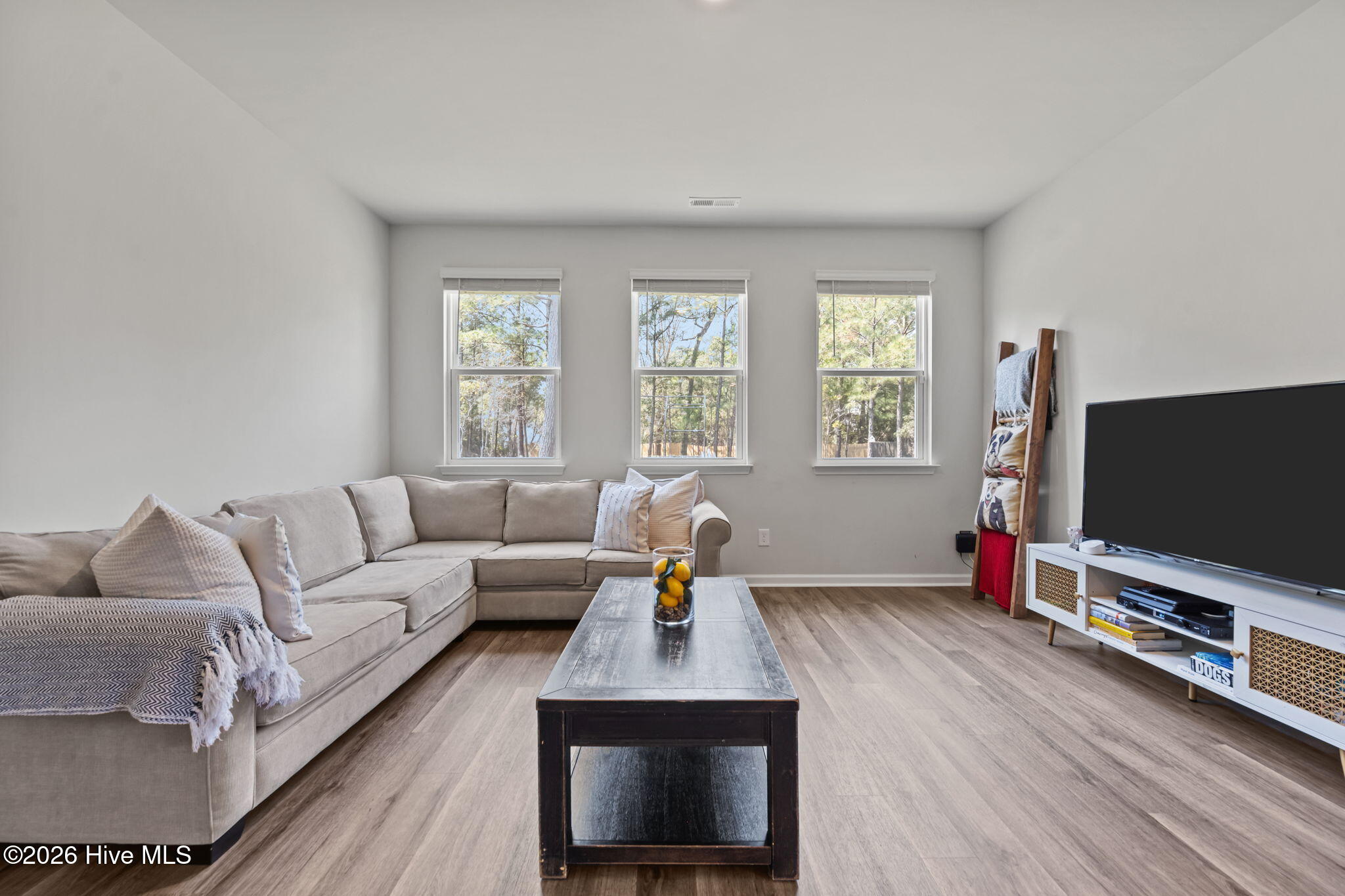 100564273 | Photo 13