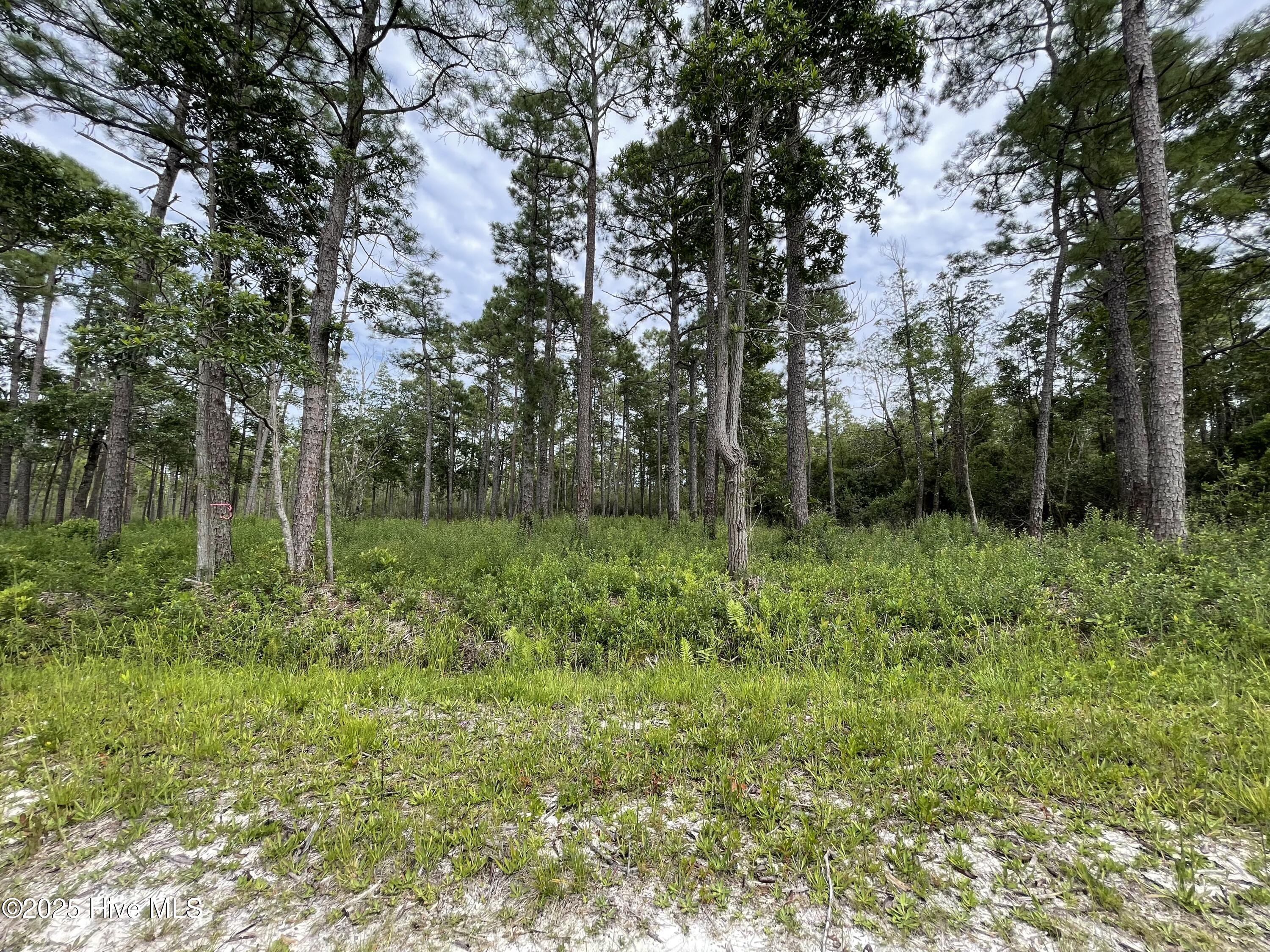 100527891 | Photo 25