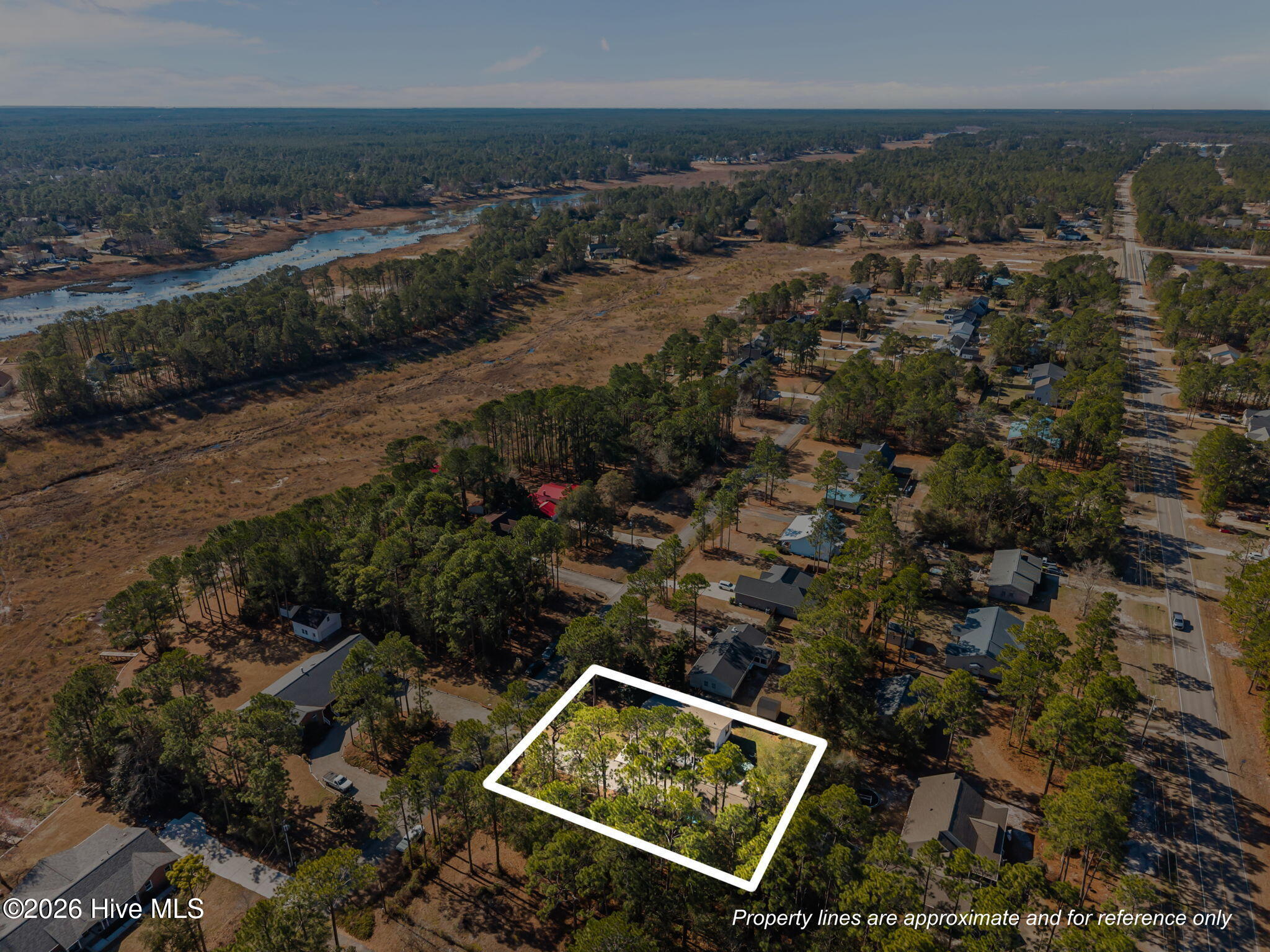 100557804 | Photo 53