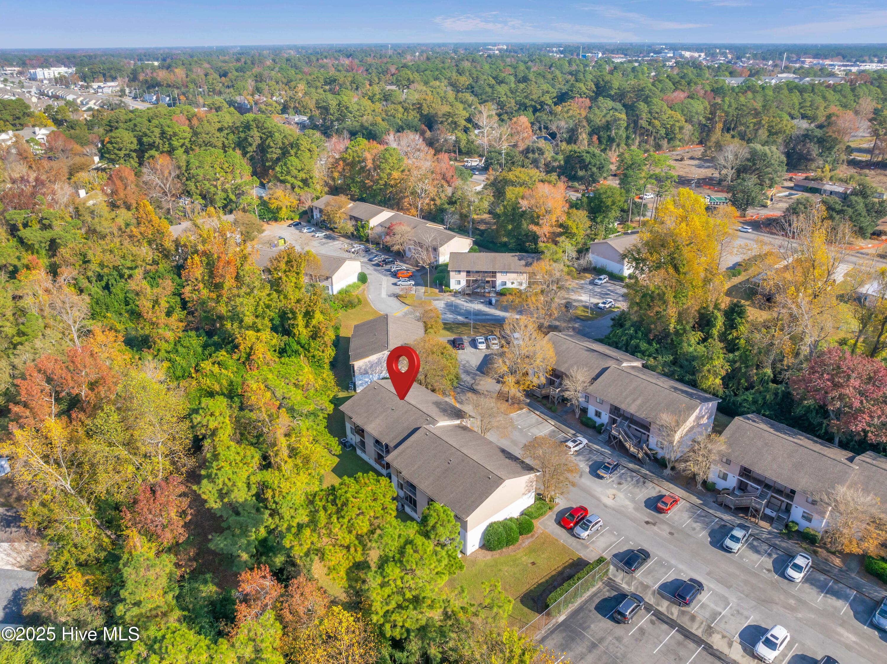 100542371 | Photo 19