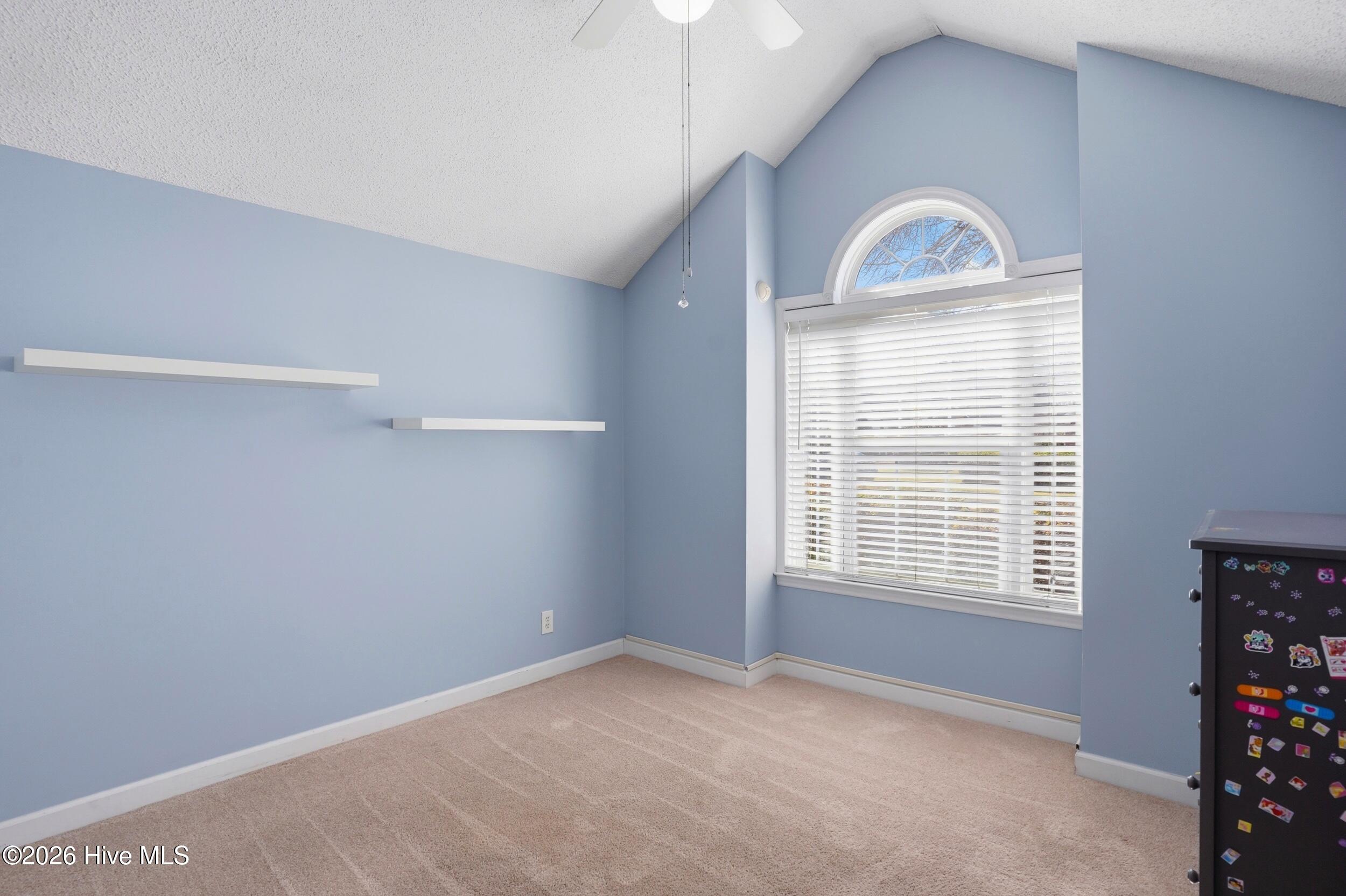 100559027 | Photo 21