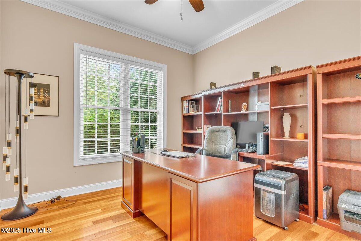 100534566 | Photo 56