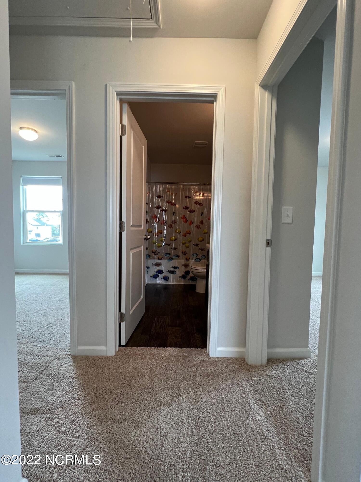 100543951 | Photo 23