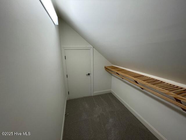 100546789 | Photo 28