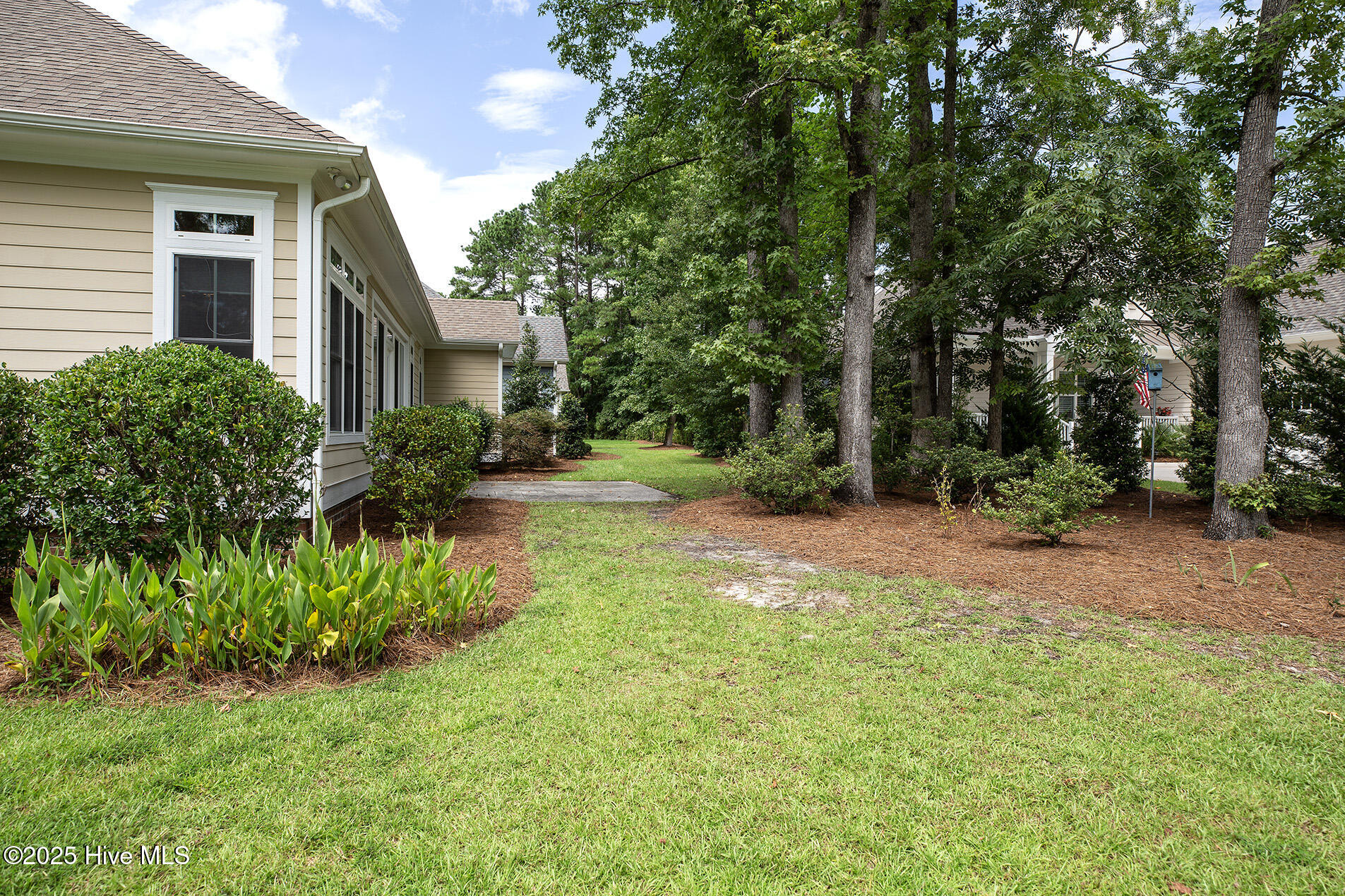 100556749 | Photo 50