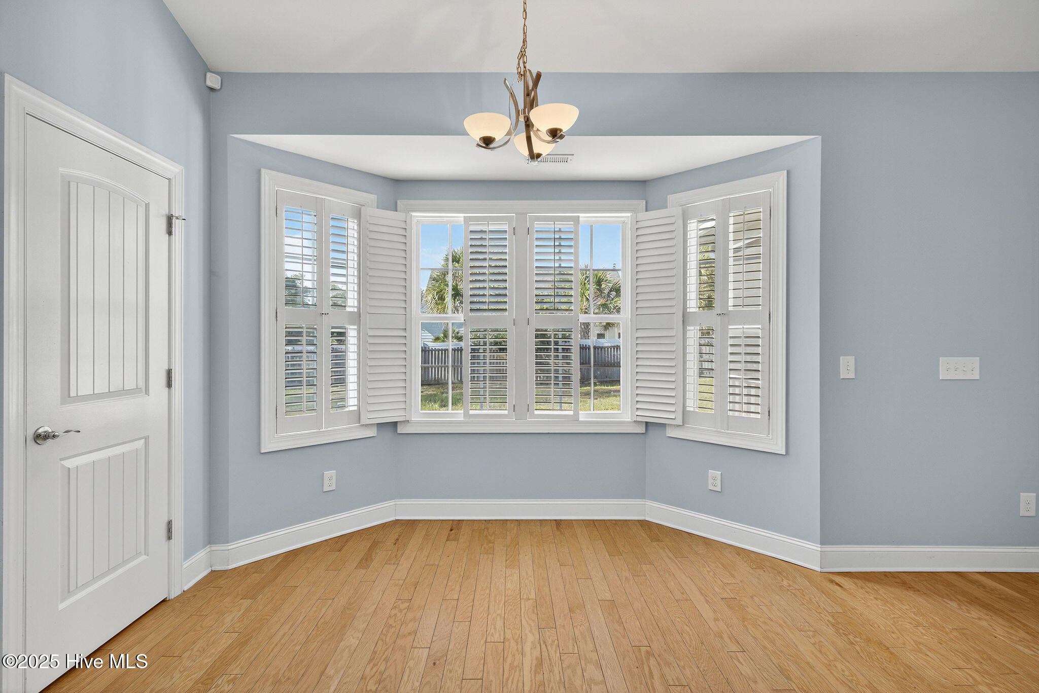 100535403 | Photo 15