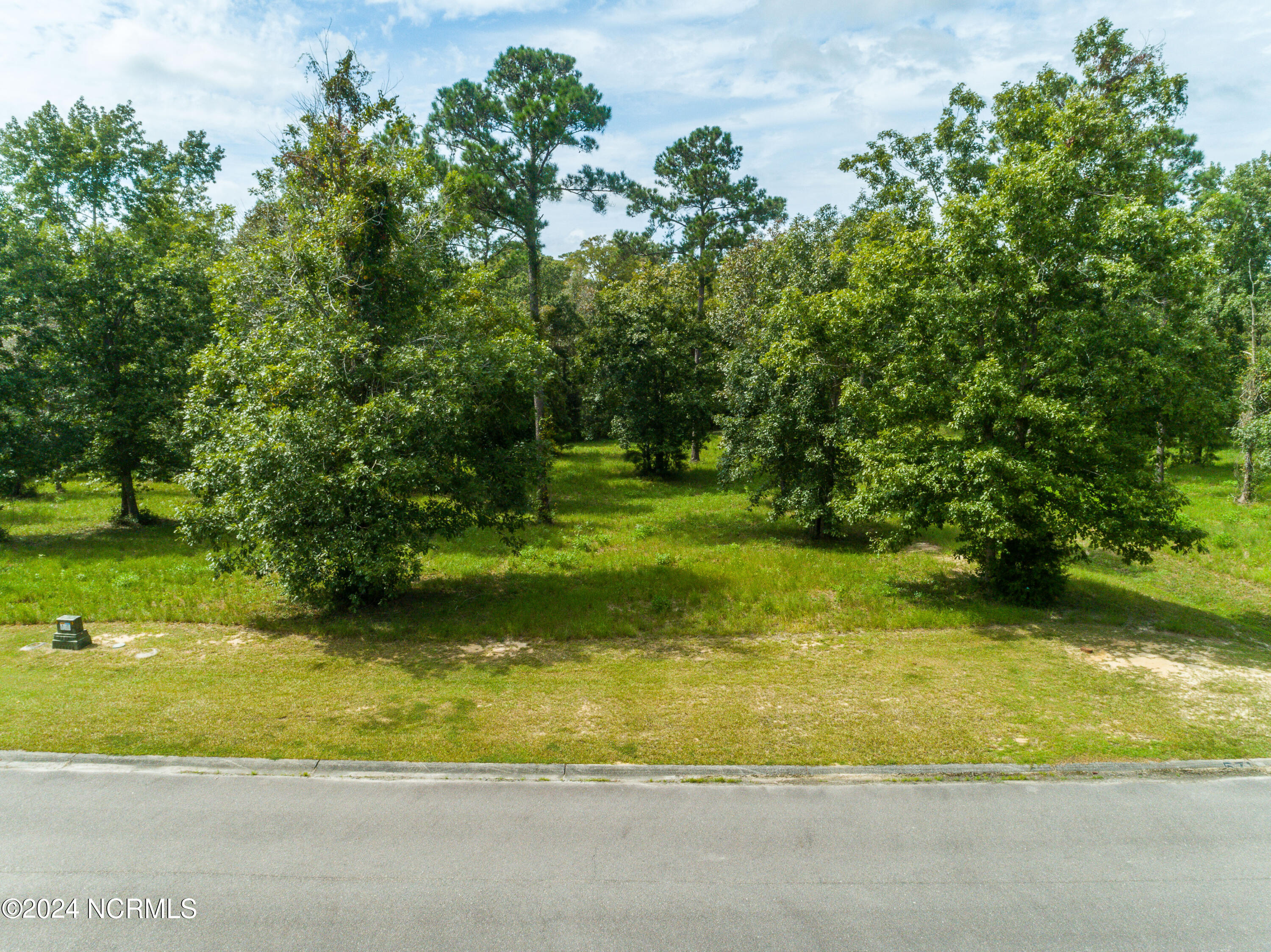 100466376 | Photo 12