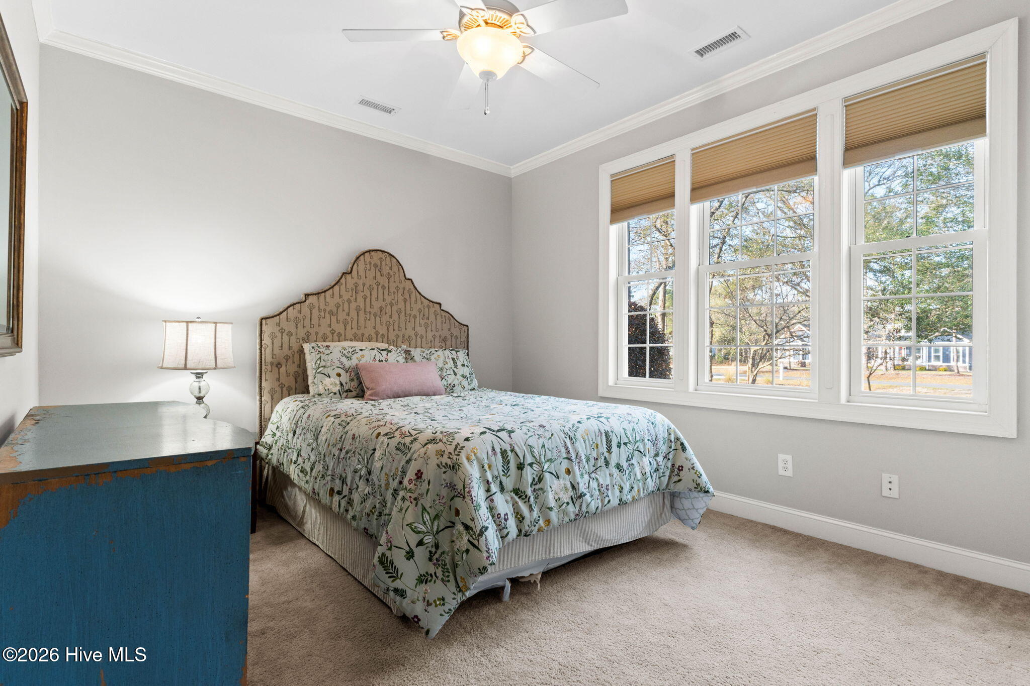 100560894 | Photo 23