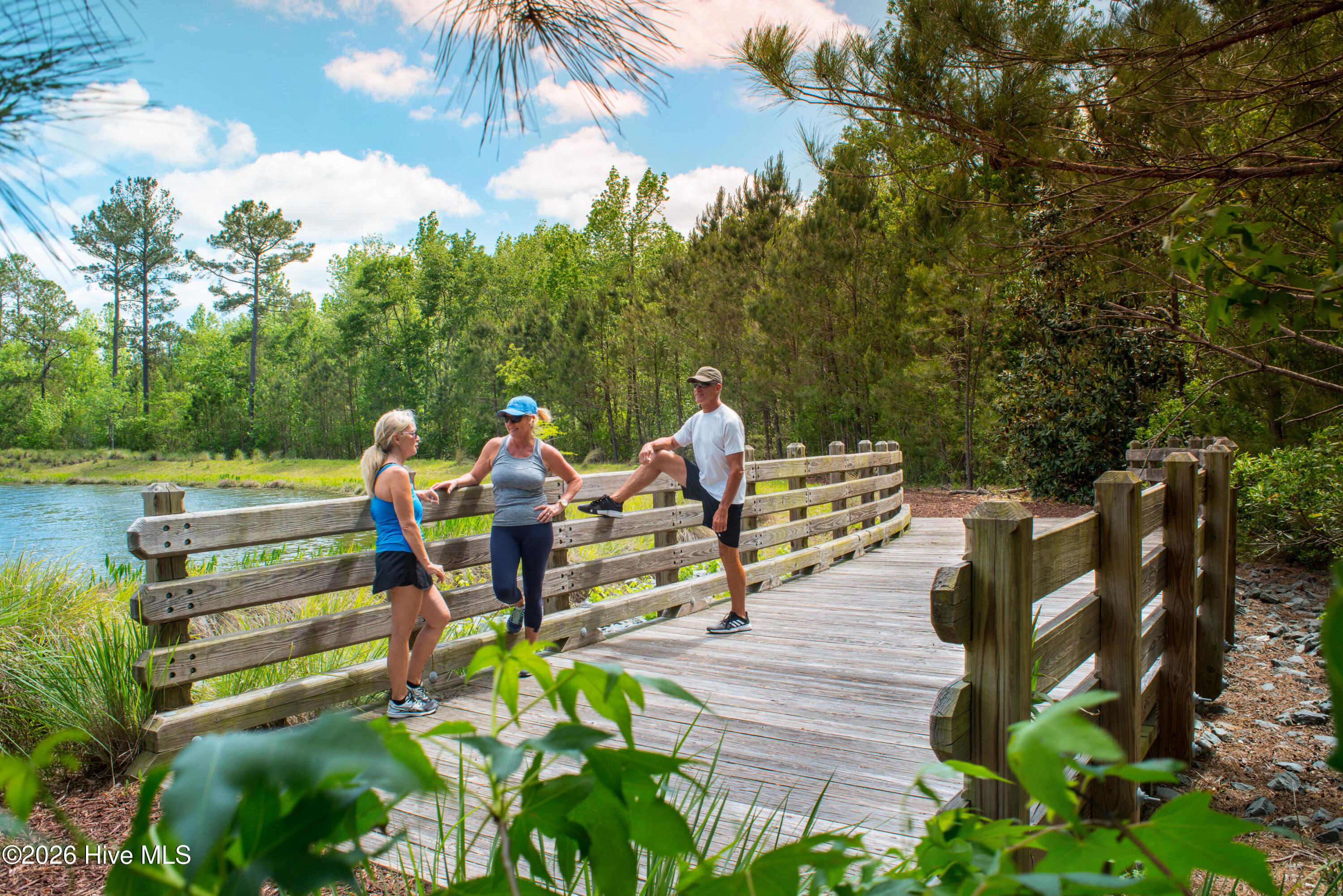 100554470 | Photo 32