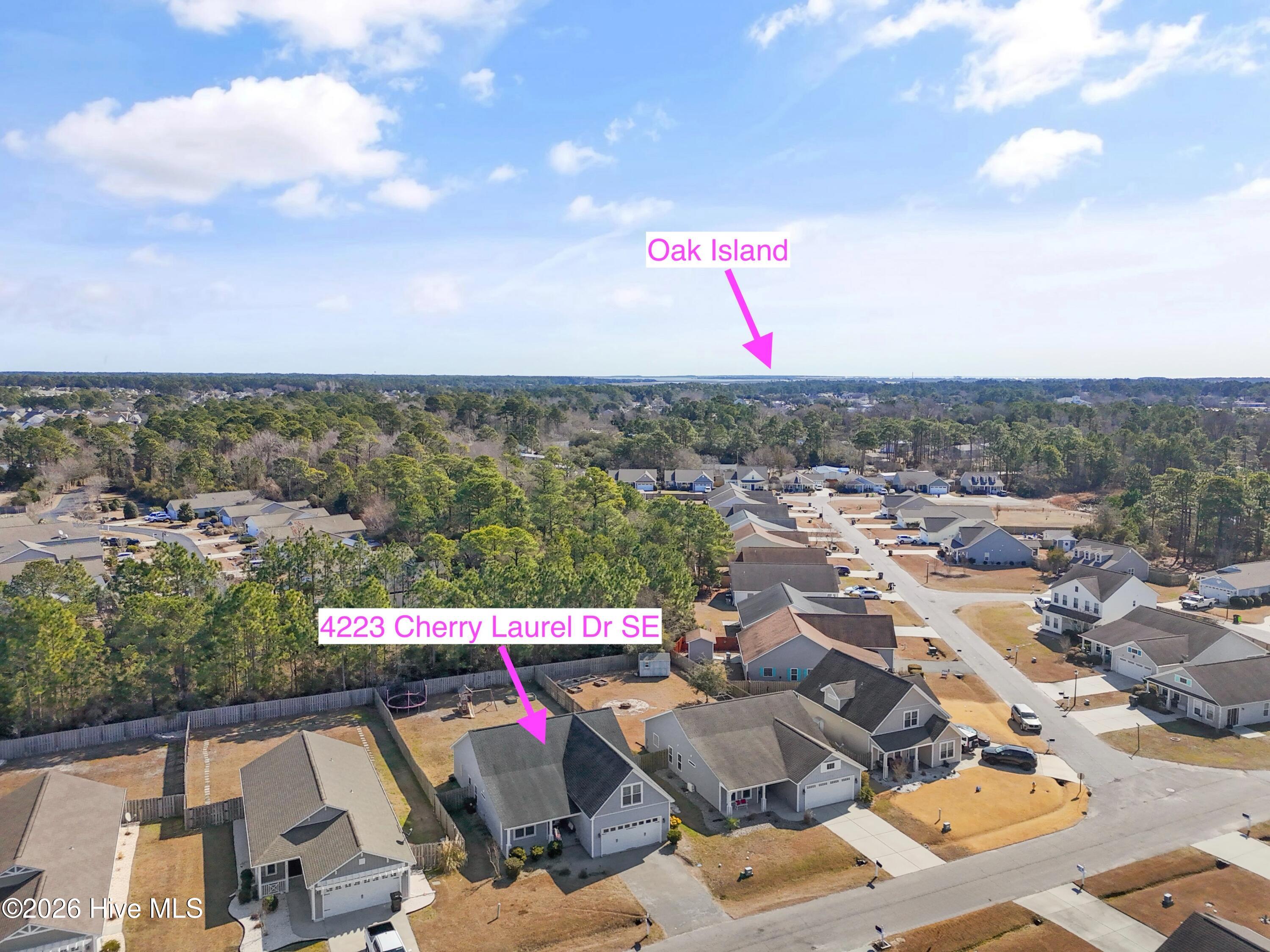 100554024 | Photo 32