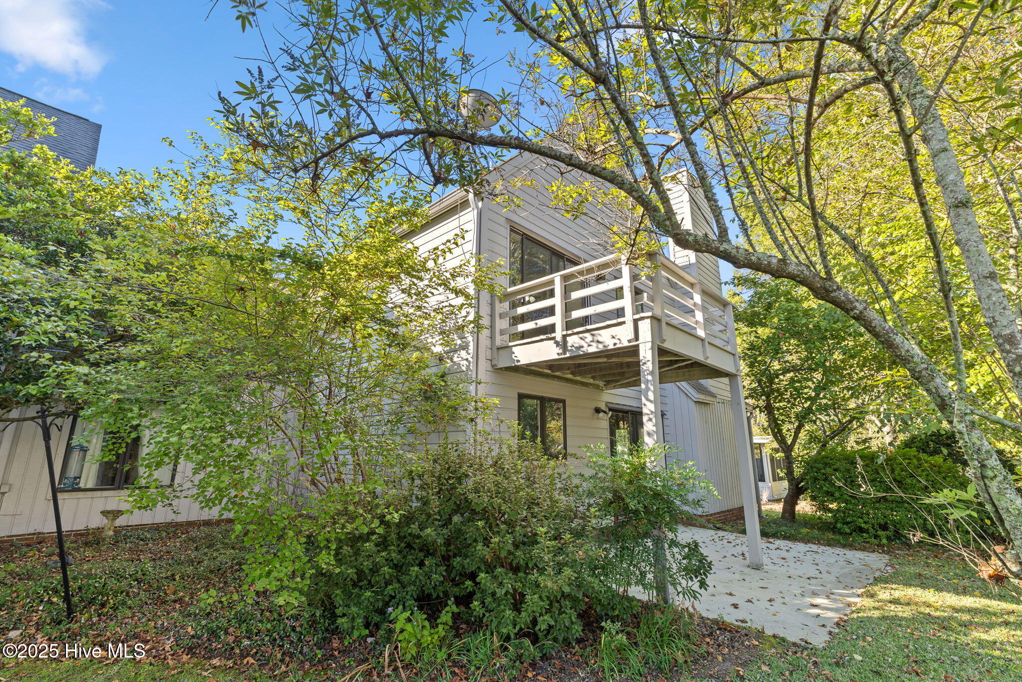 100535092 | Photo 37