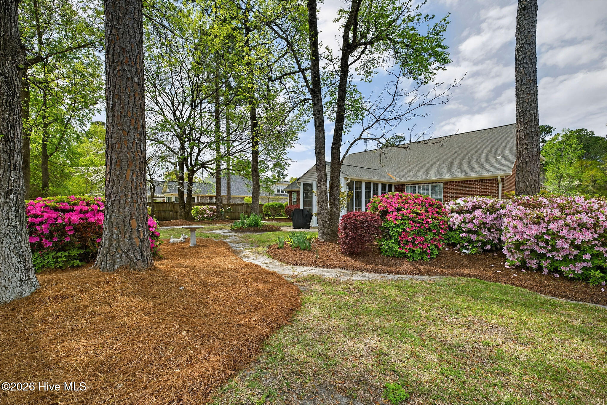 100565648 | Photo 36