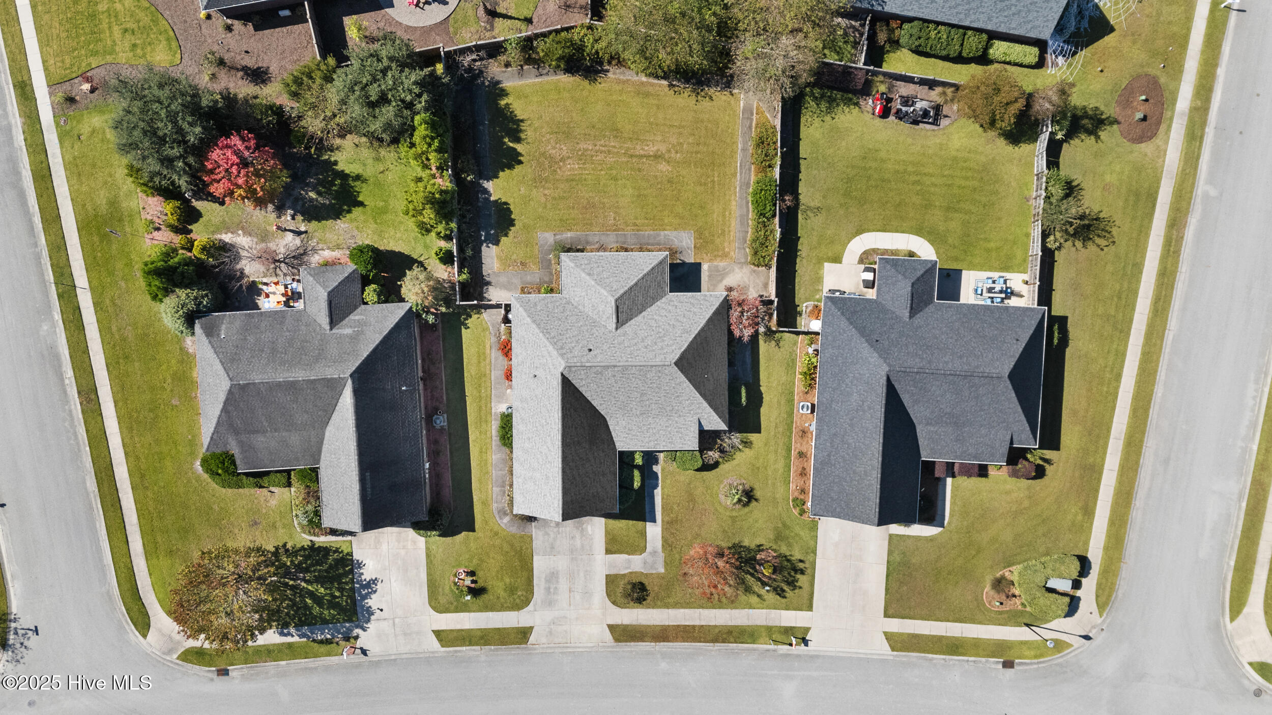 100537389 | Photo 44