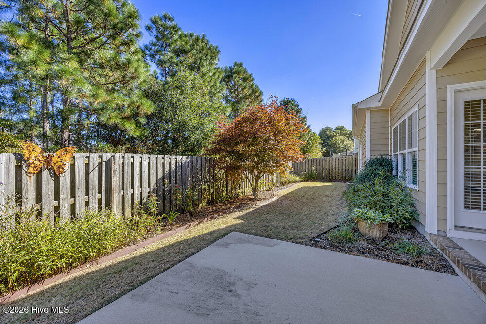 100548835 | Photo 29