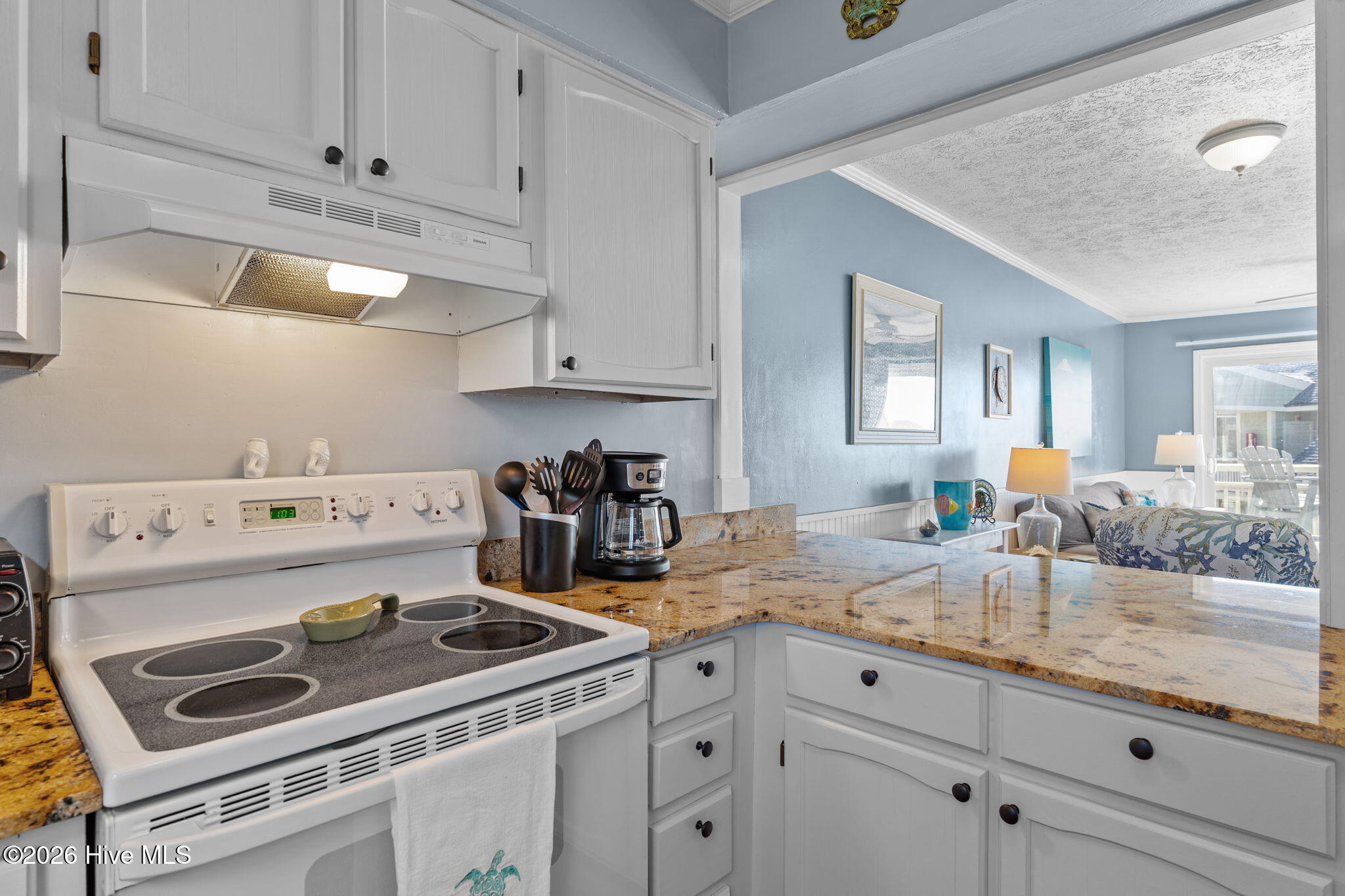 100550399 | Photo 12