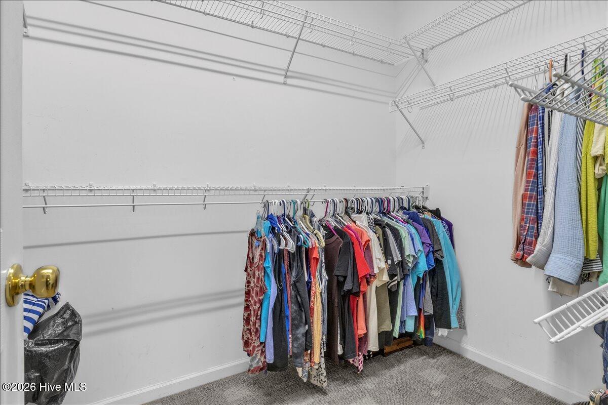 100566534 | Photo 27