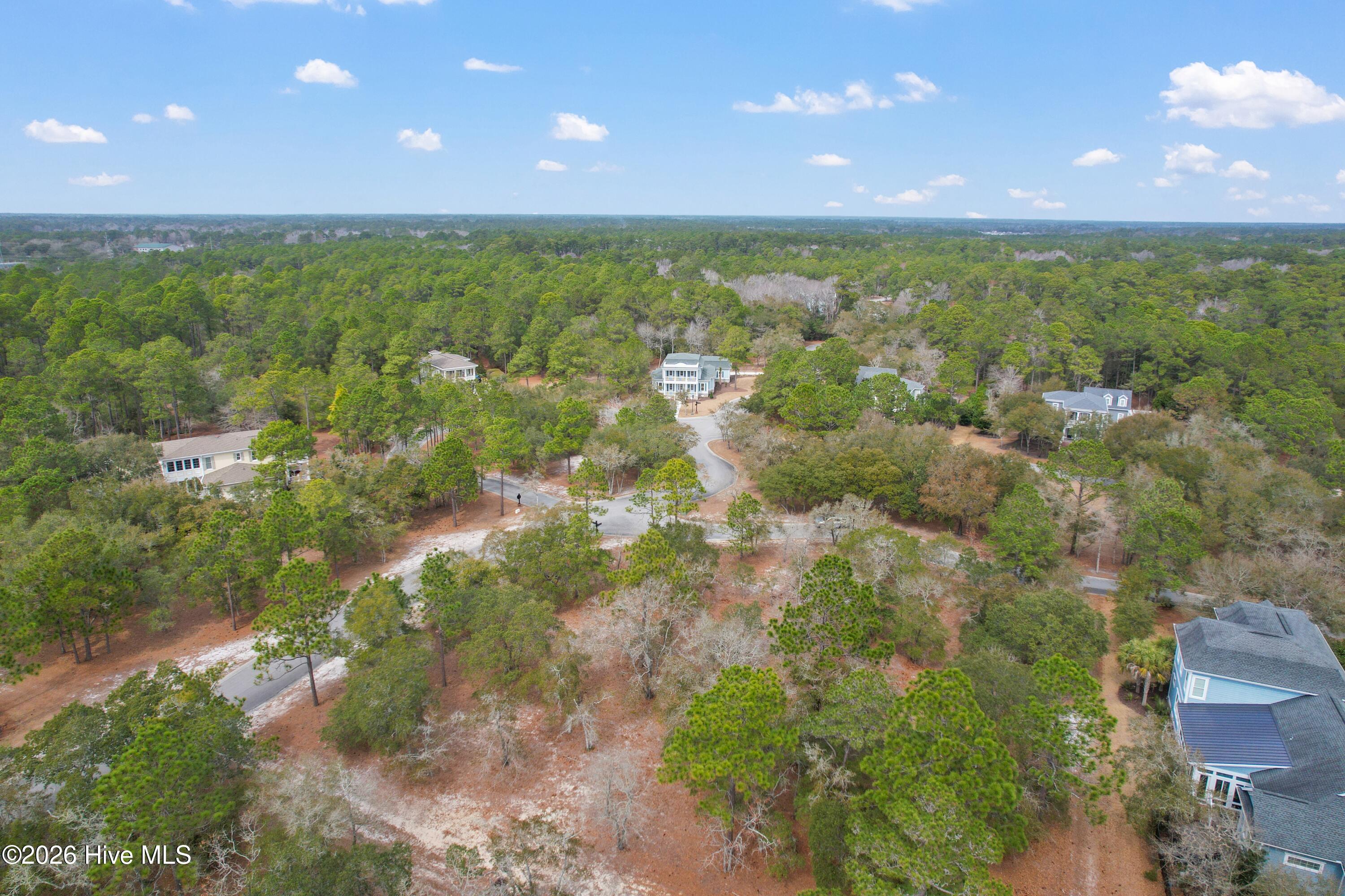 100548259 | Photo 14