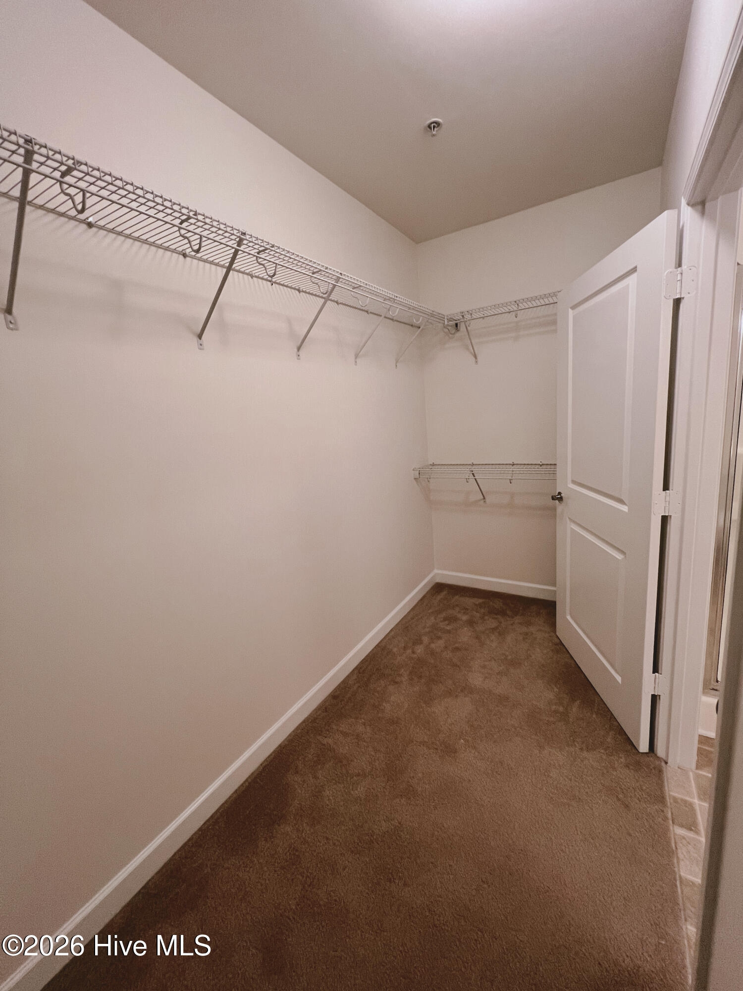 100550783 | Photo 14