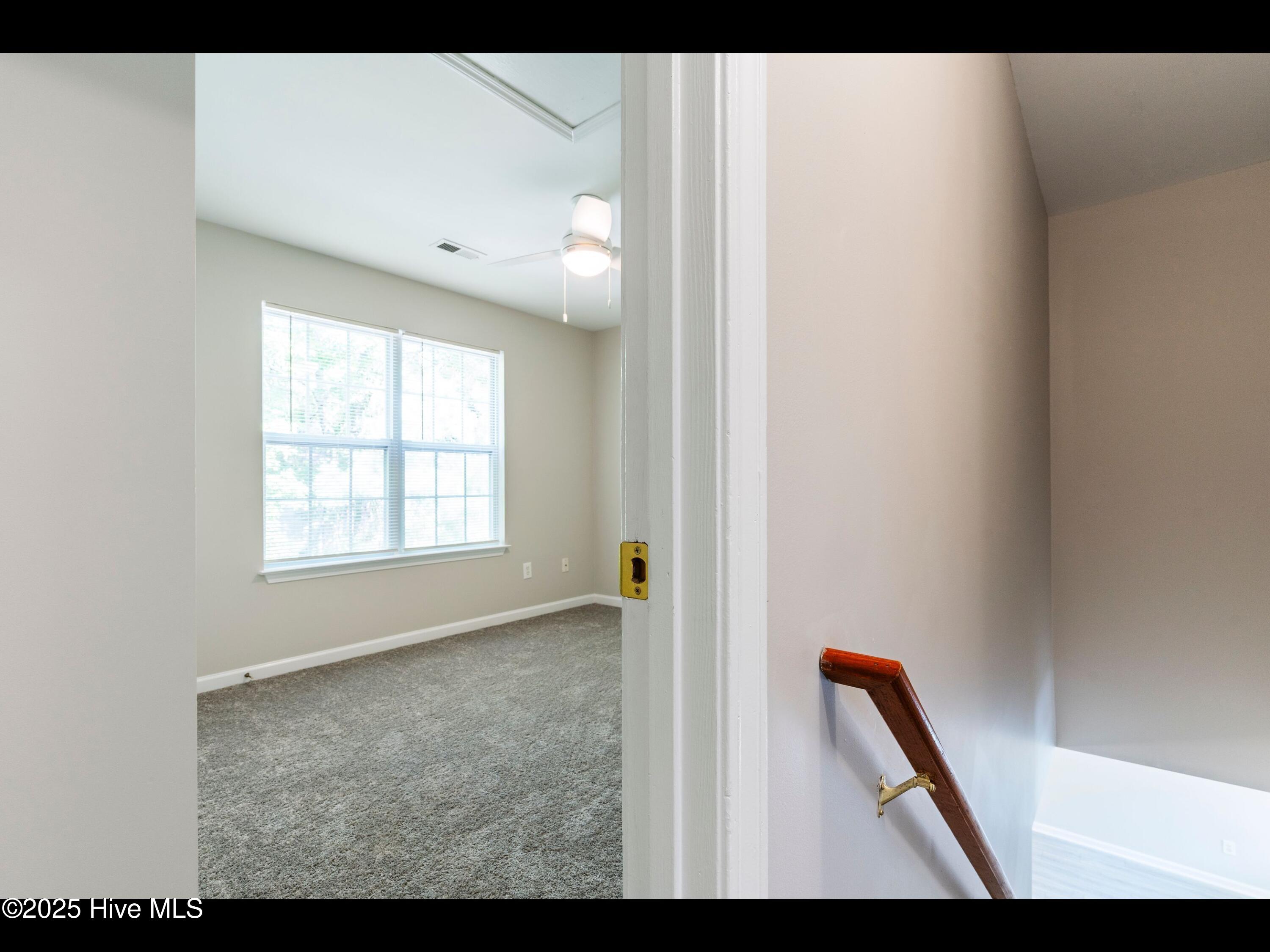 100510875 | Photo 20