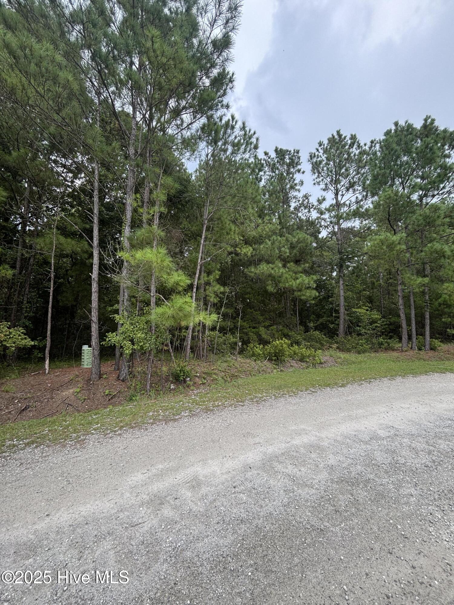 100524830 | Photo 10