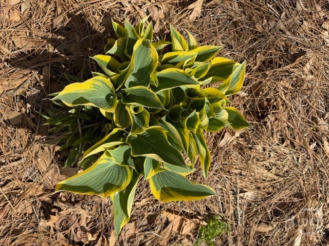 1208 Elberton Road, Lexington, GA, 30648