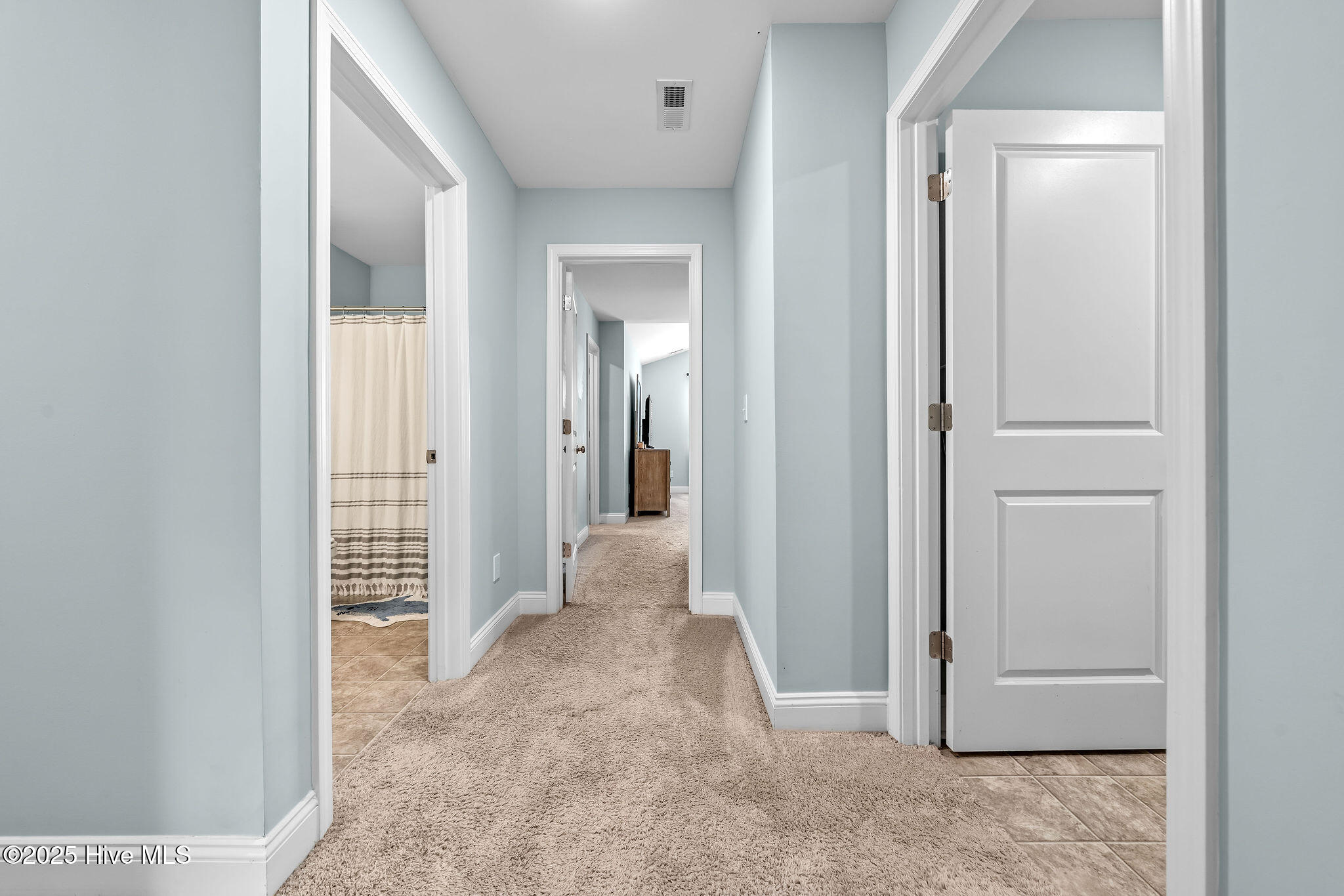 100513272 | Photo 22