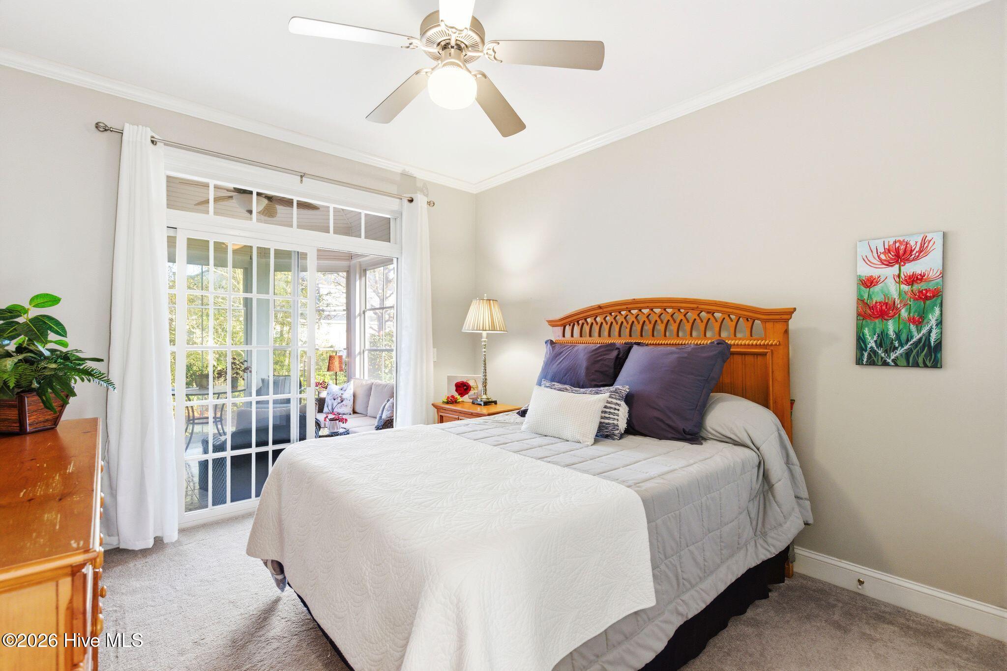 100564918 | Photo 47