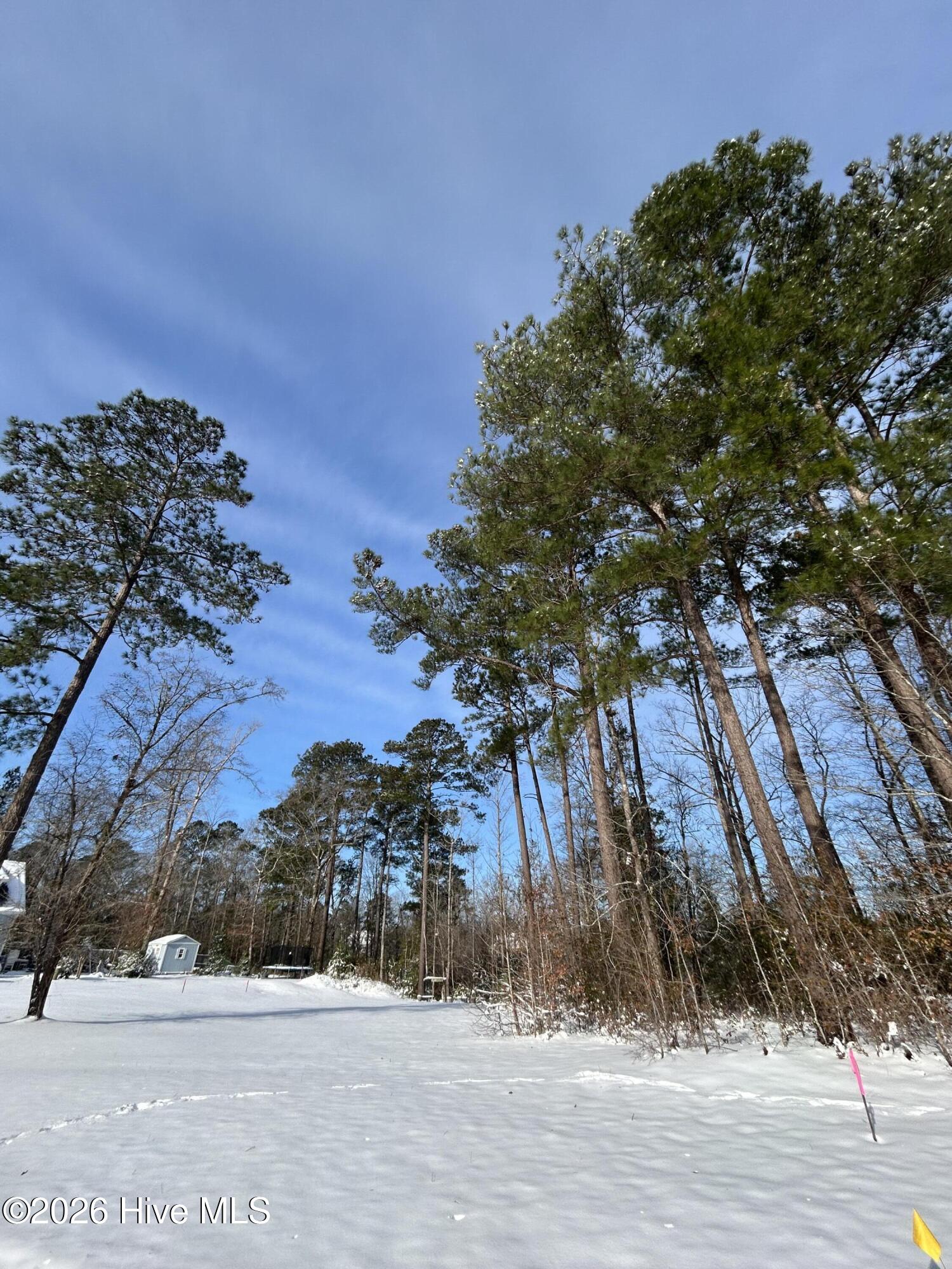 100552333 | Photo 18