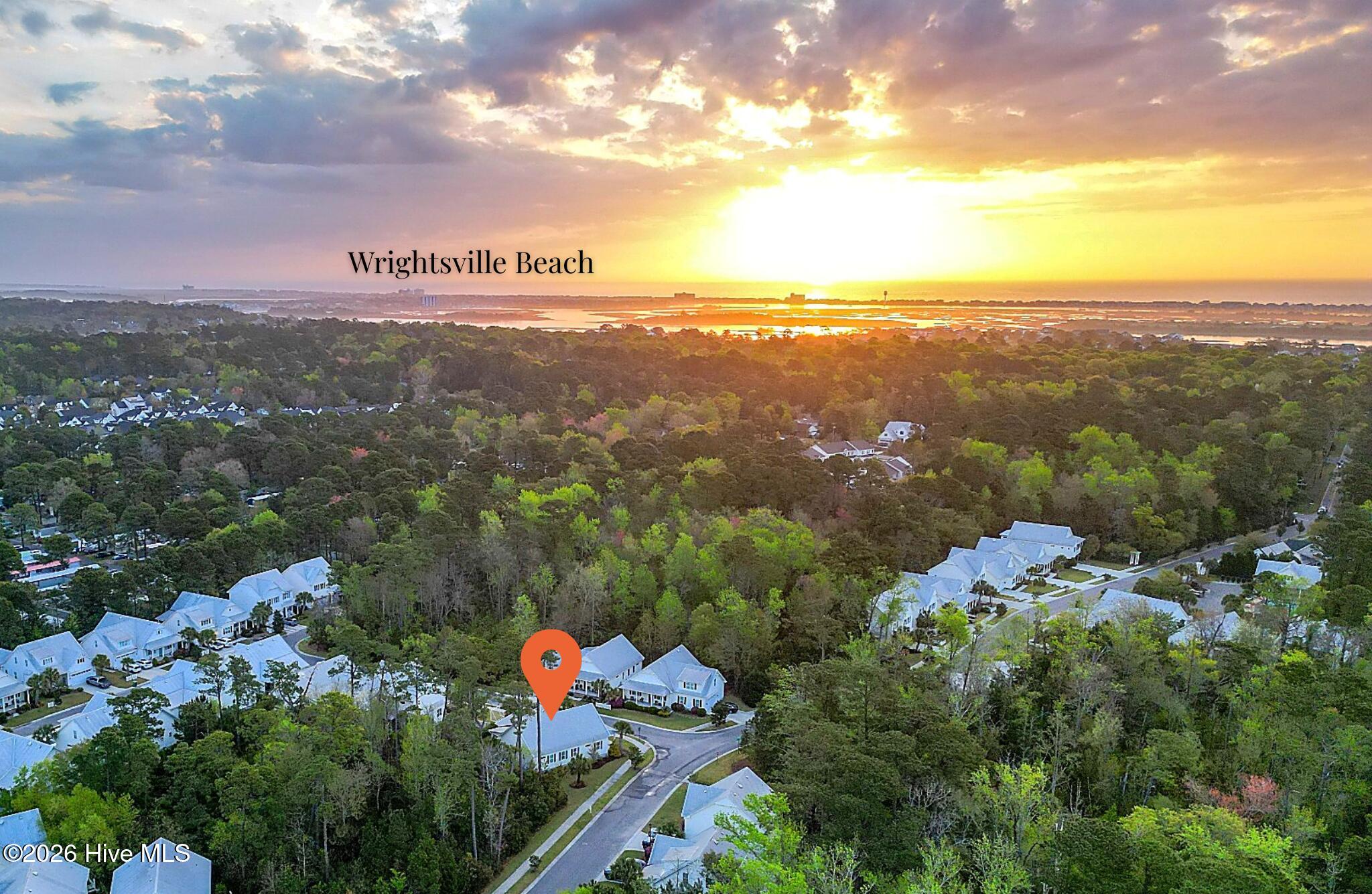 100564724 | Photo 31