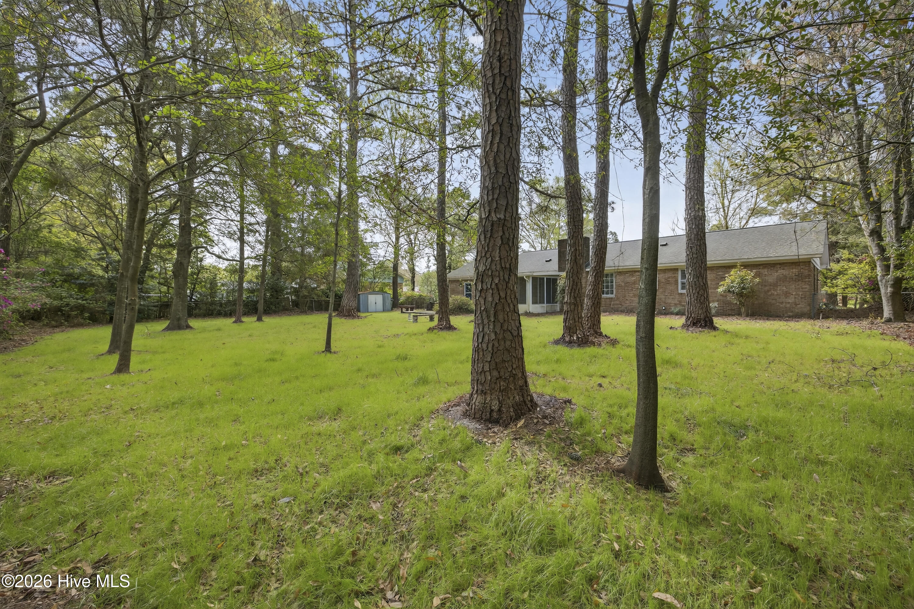 100562891 | Photo 27