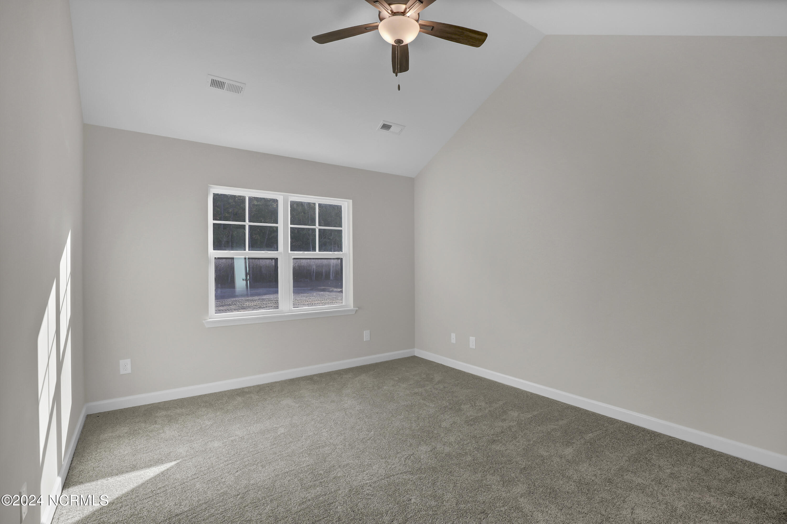 100446985 | Photo 18