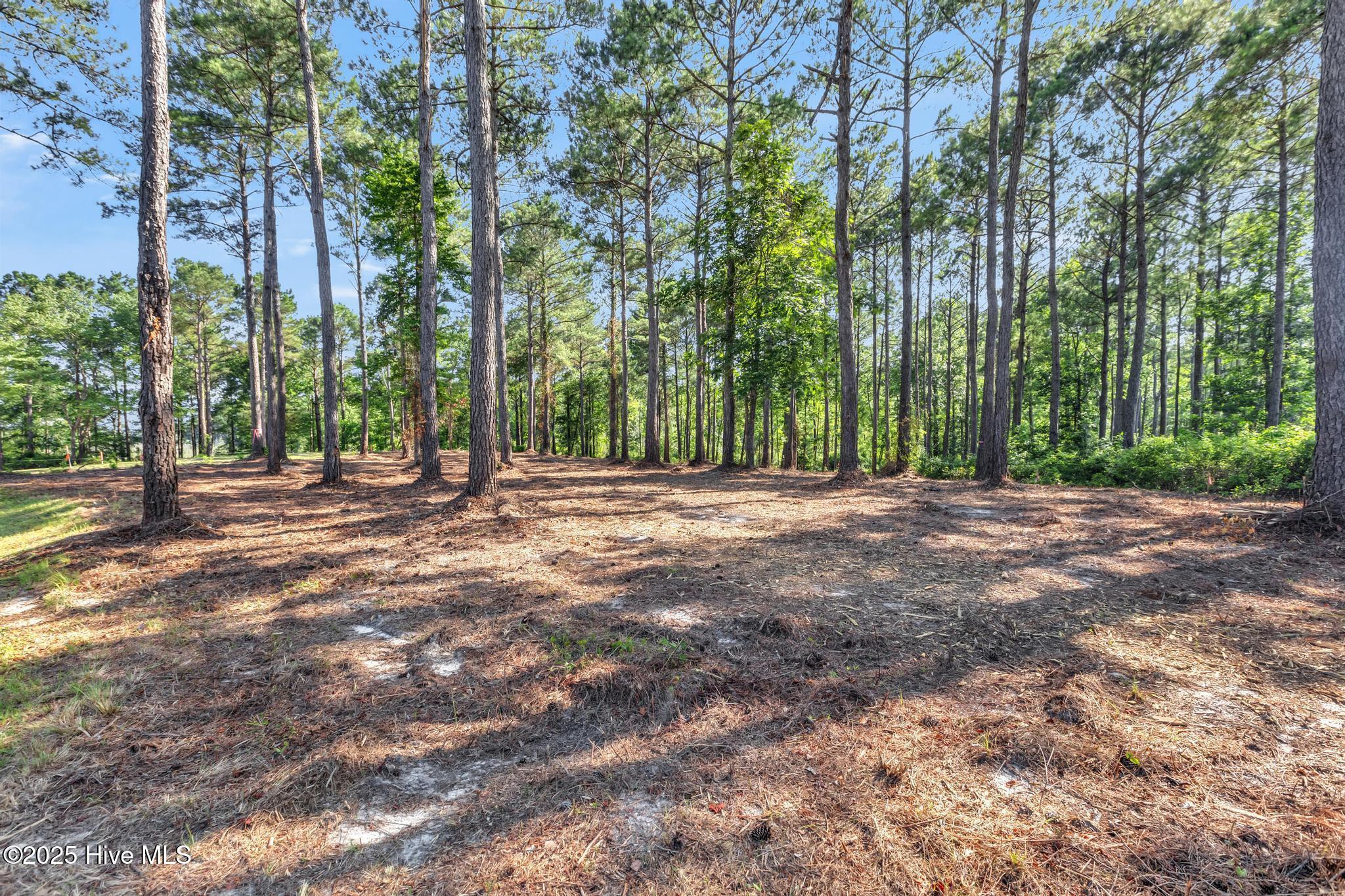 100517301 | Photo 11