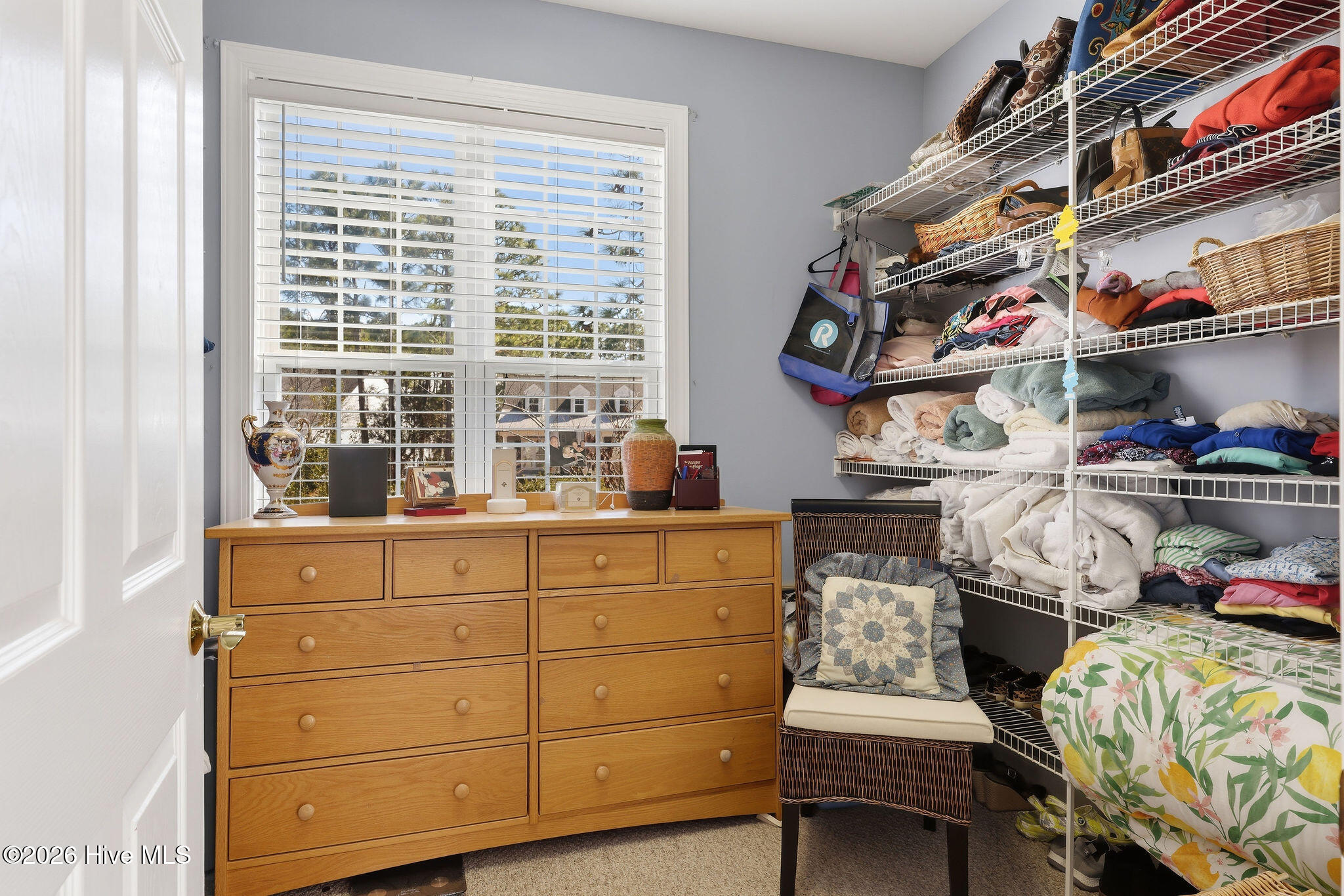 100558304 | Photo 34