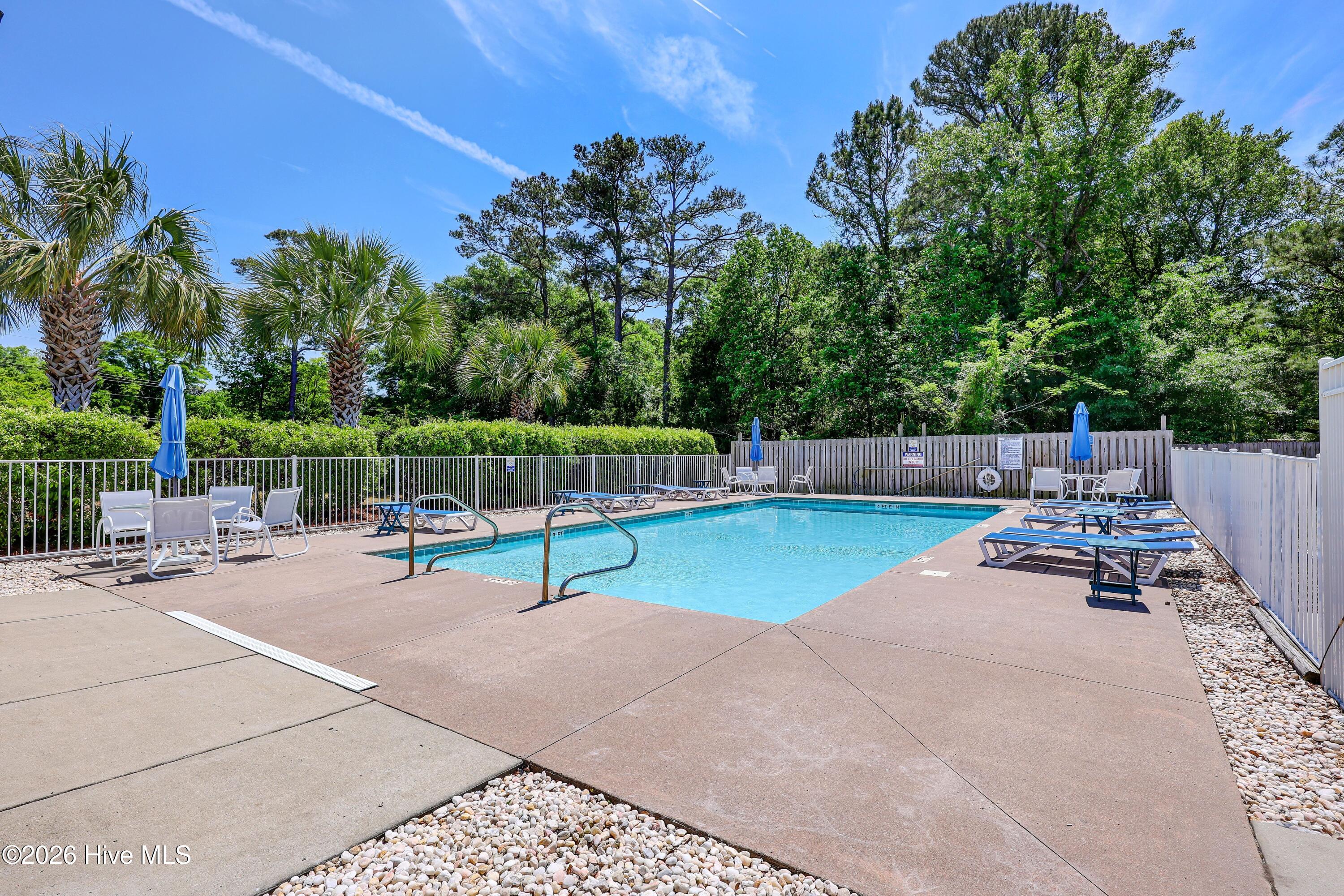 100567851 | Photo 31