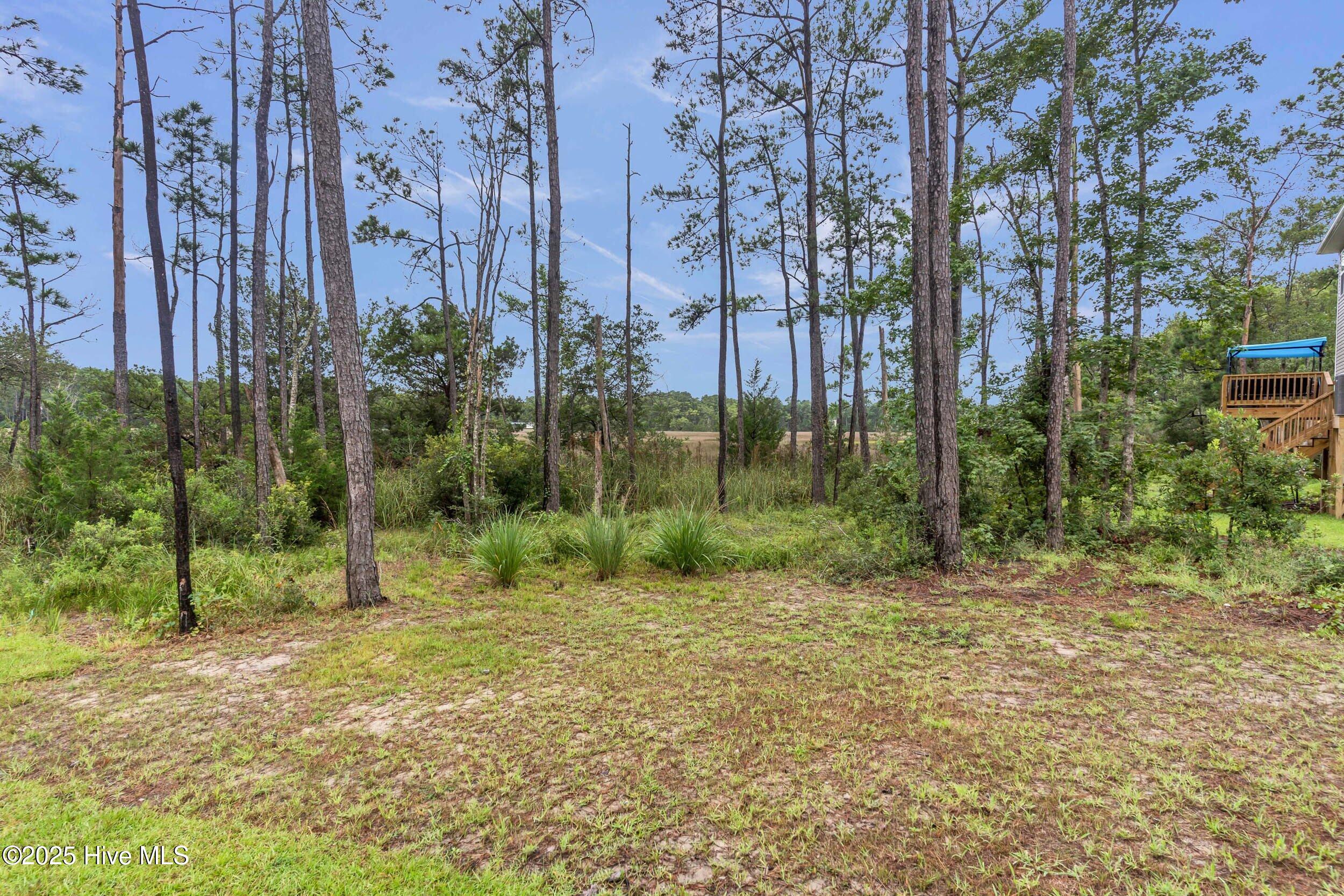 100524627 | Photo 28